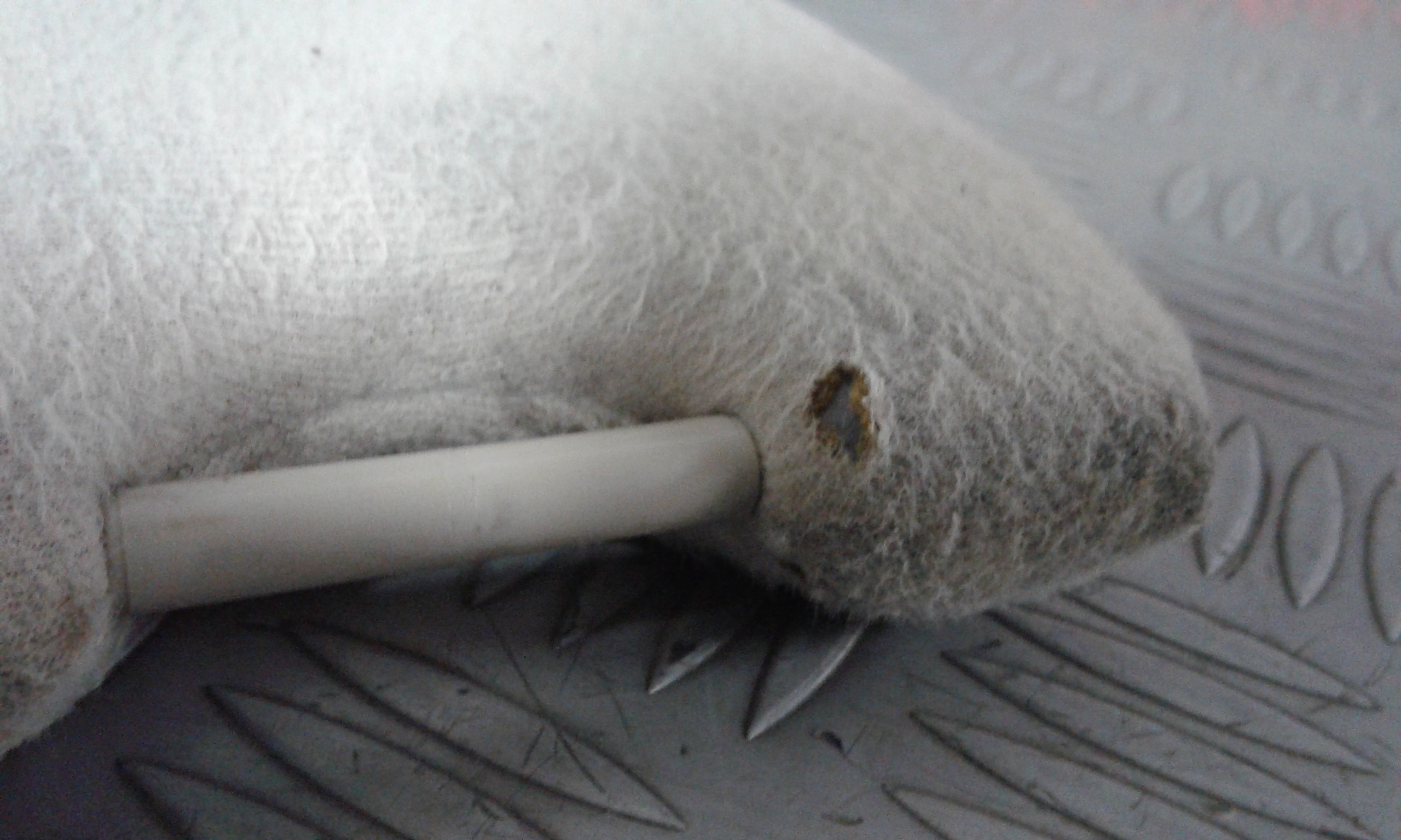 Parasole Lato Passeggero CHRYSLER Voyager 2 Serie