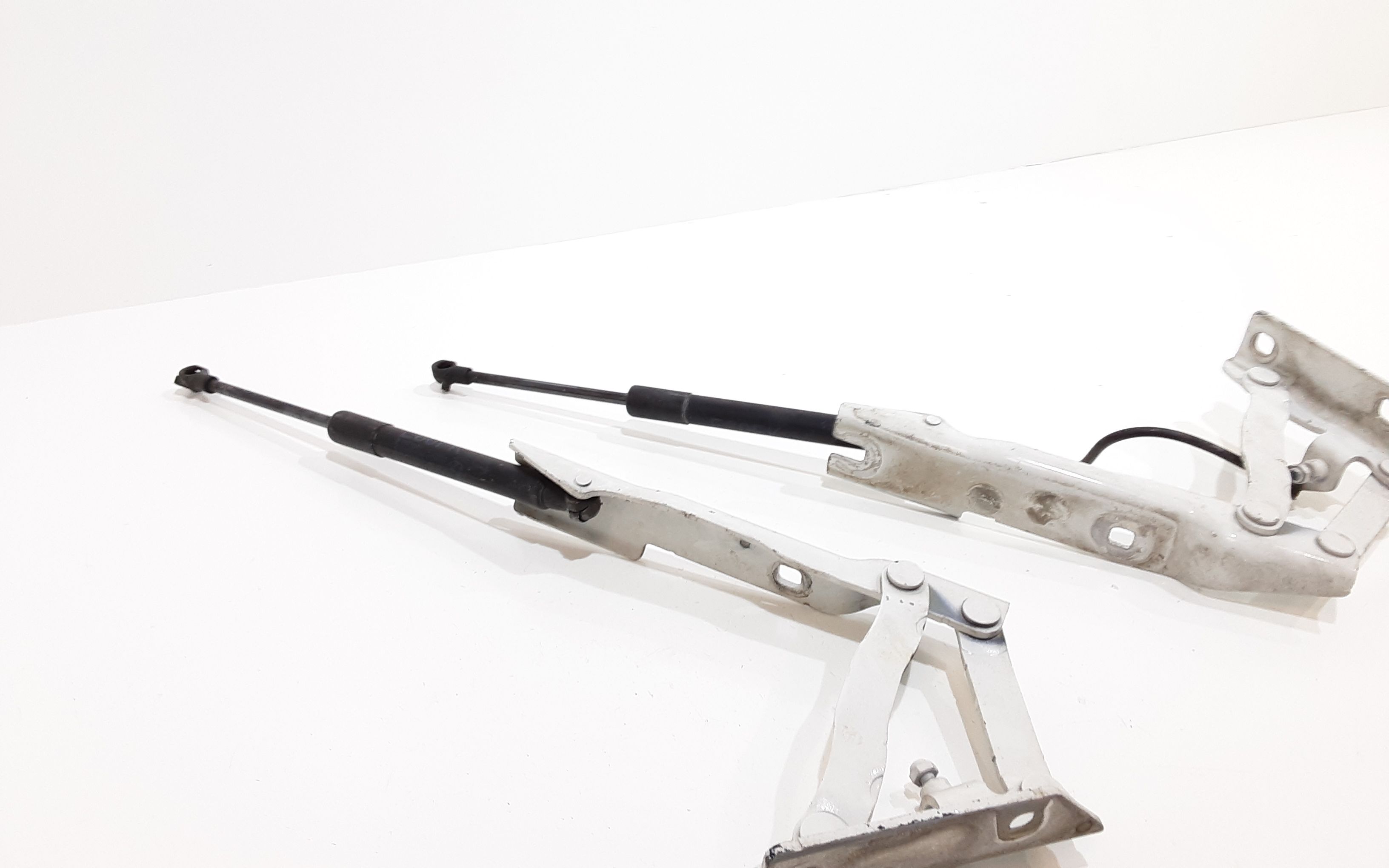 Cerniere cofano anteriore dx e sx BMW Serie 5 E60