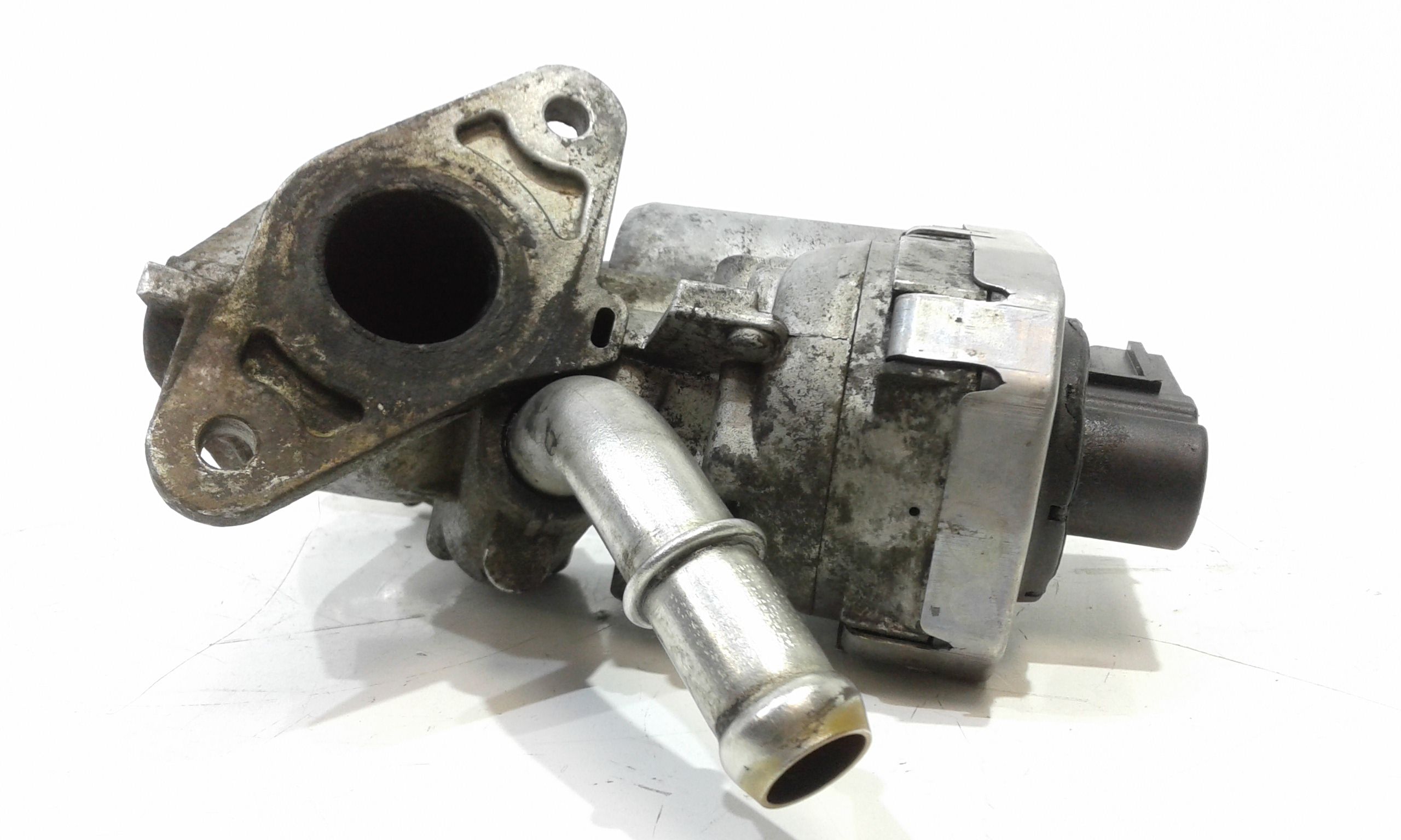 Valvola EGR FORD Transit Serie (06>14)