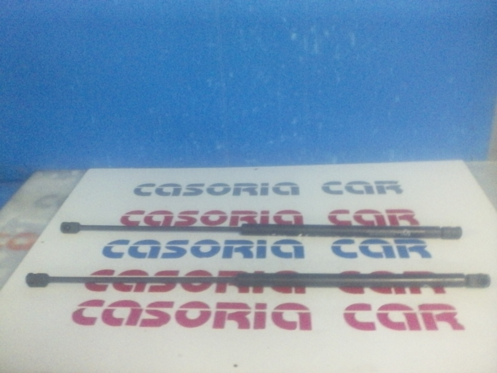 Pistoncini cofano Post. RENAULT Scenic 1 Serie