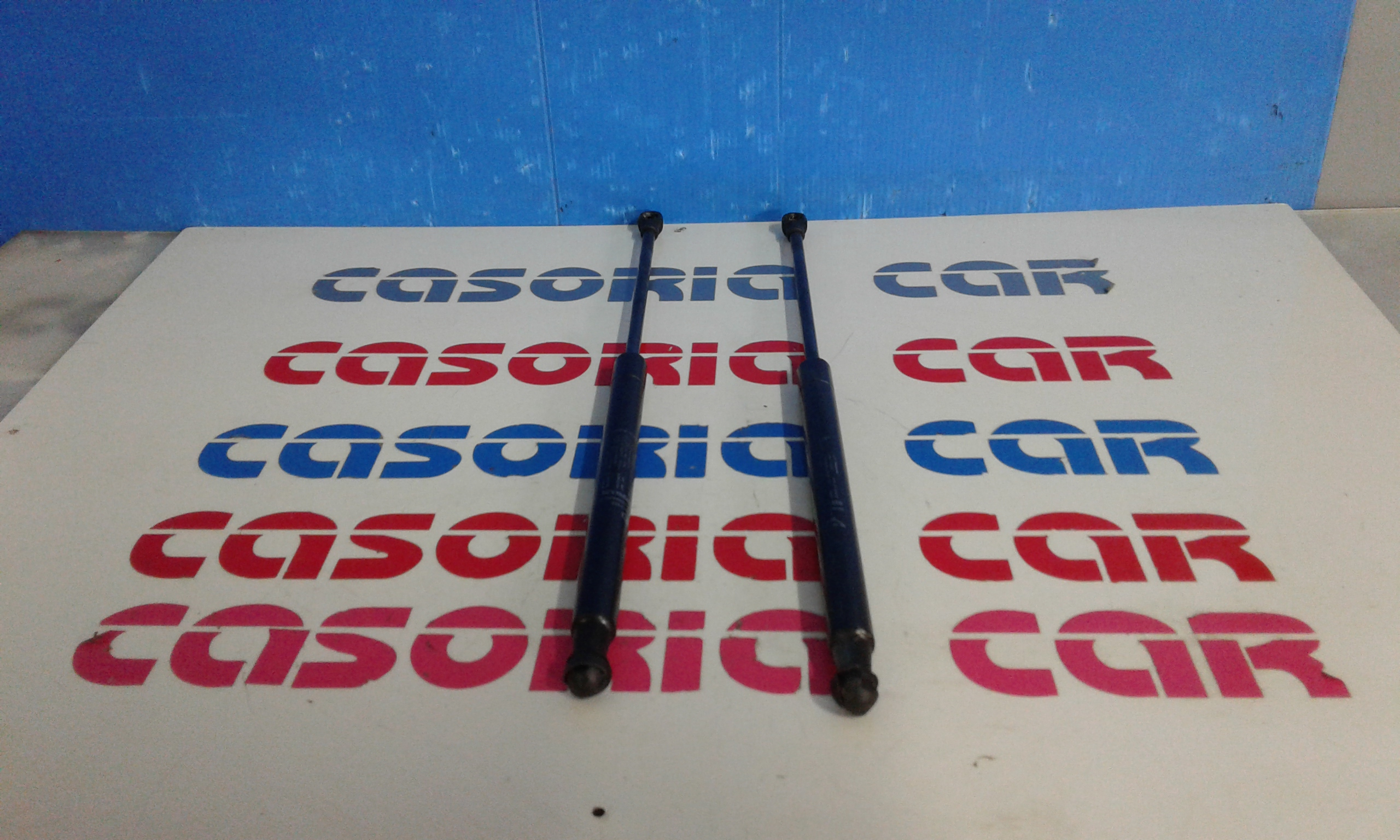 Pistoncini cofano Post. FIAT Punto EVO