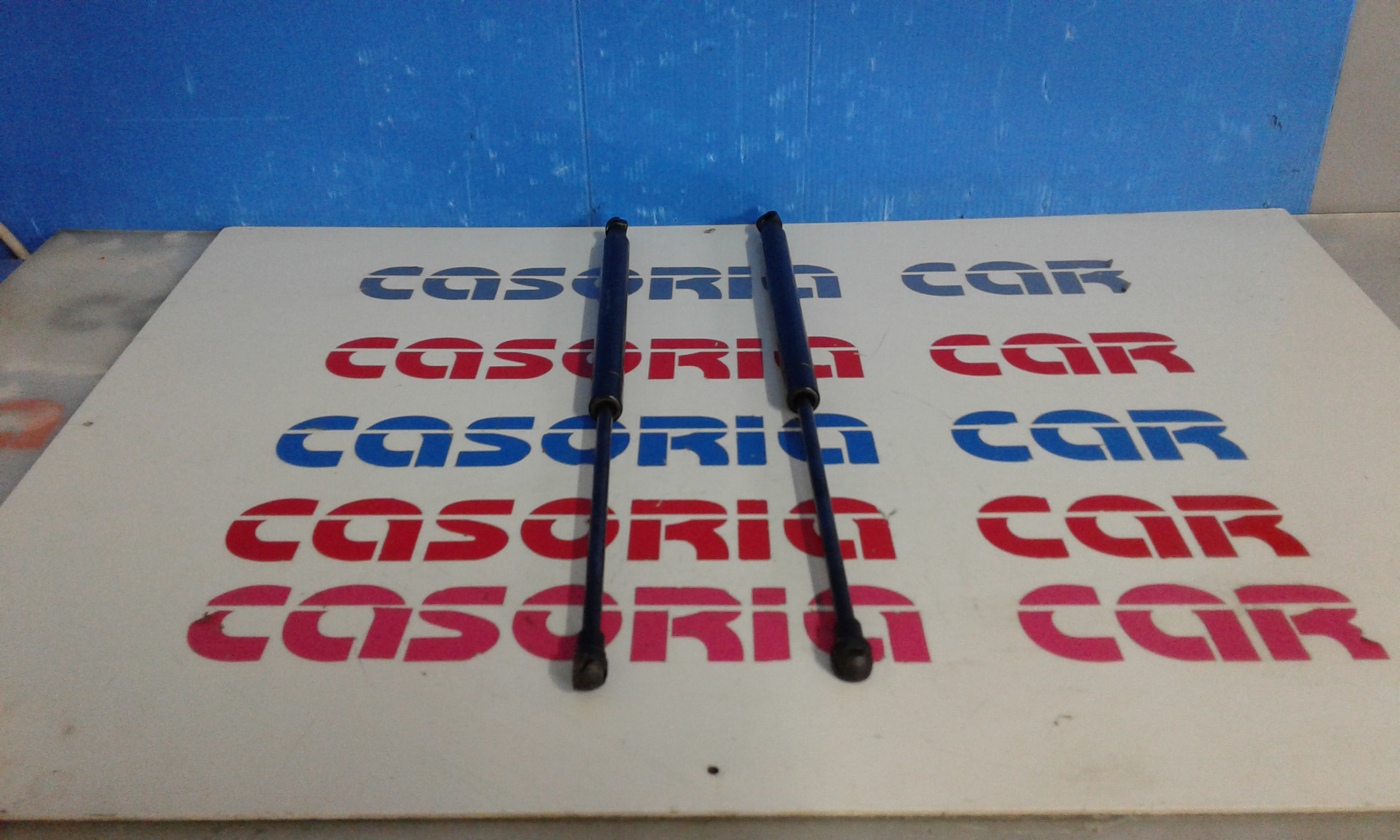 Pistoncini cofano Post. FIAT Punto EVO