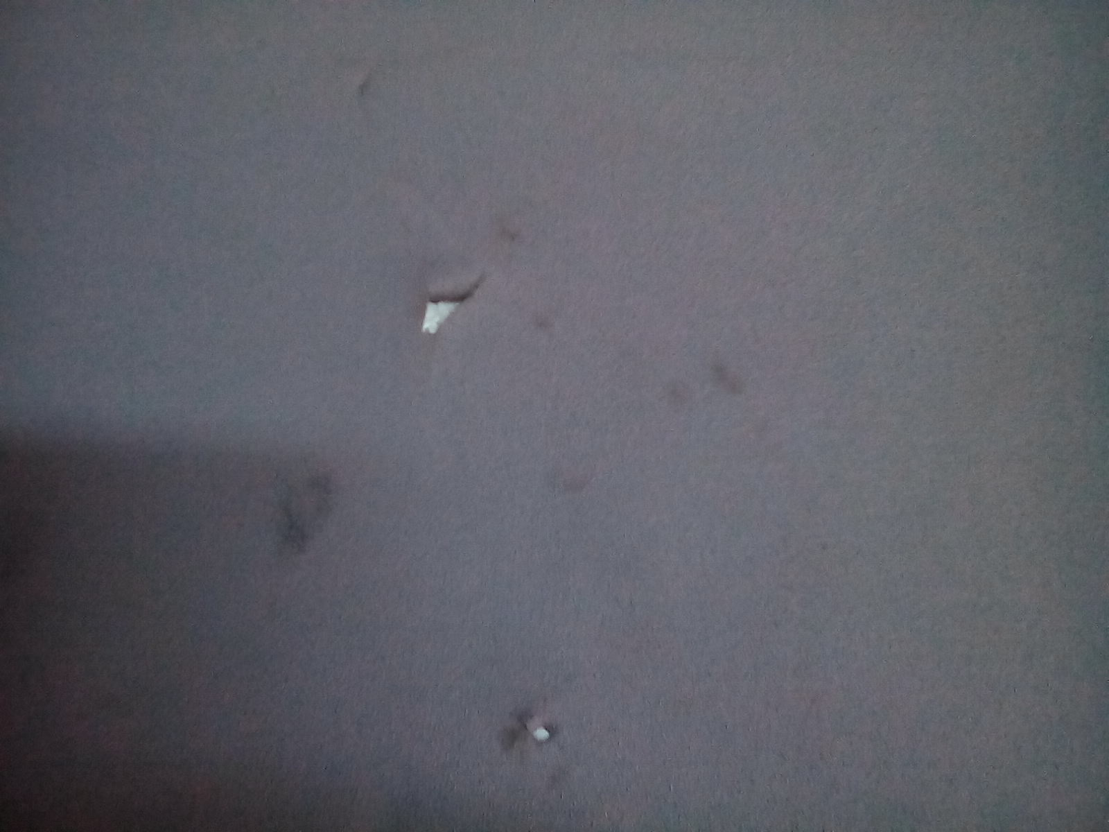 Parasole Lato Passeggero HYUNDAI Matrix 1 Serie