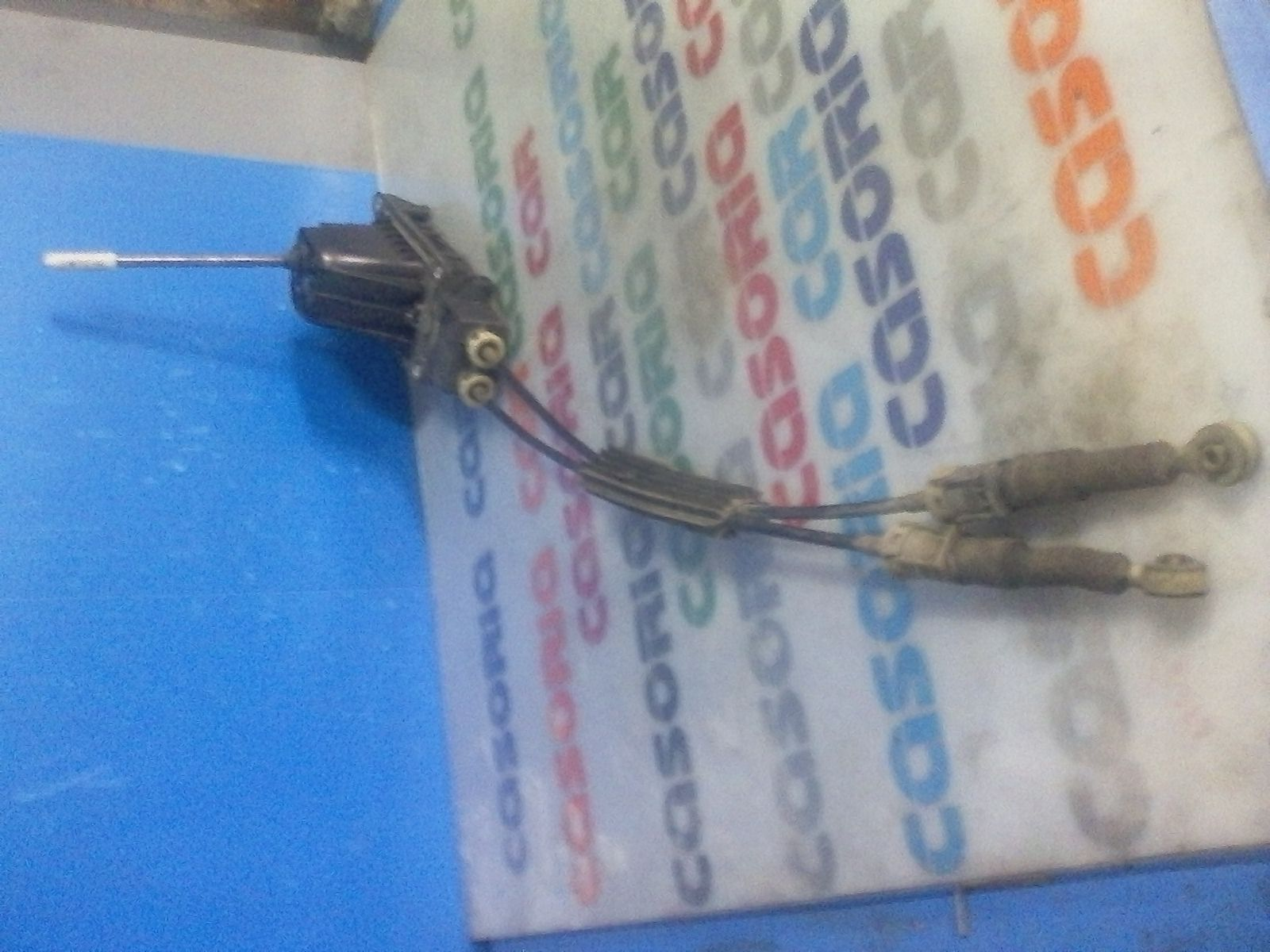 Cavi Marce RENAULT Clio 5