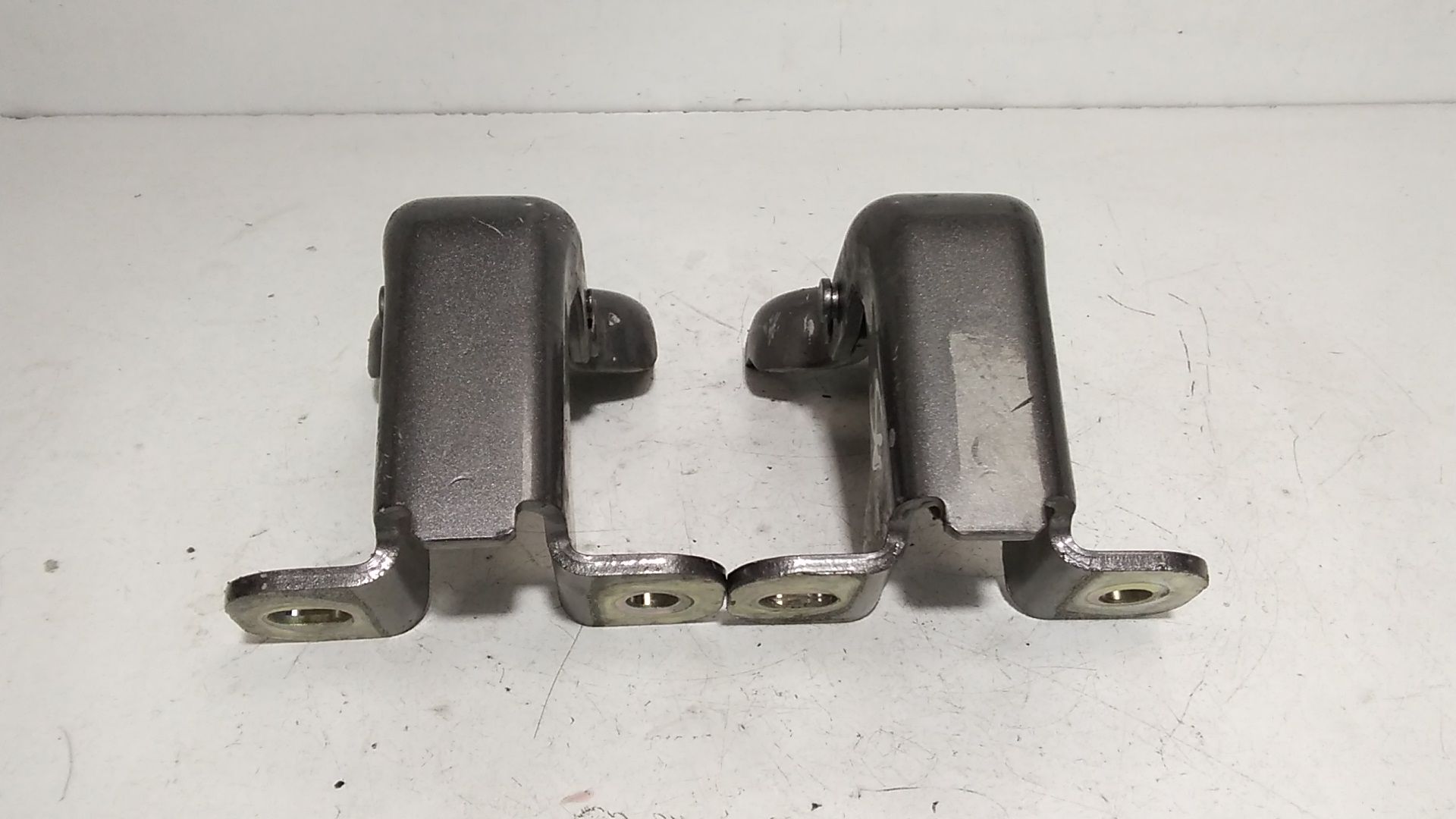 Cerniere Porte RENAULT Trafic Serie