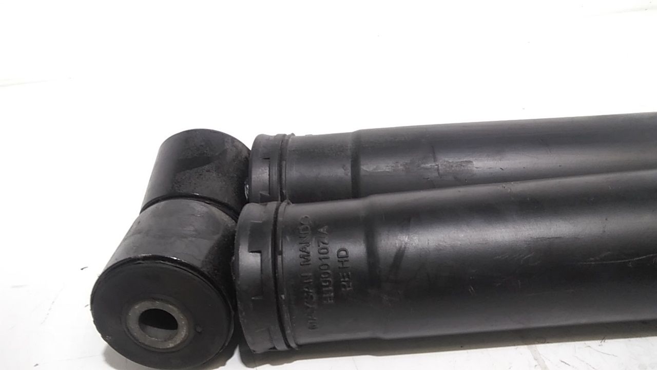 Coppia Ammortizzatori RENAULT Trafic Furgonato serie (14>)