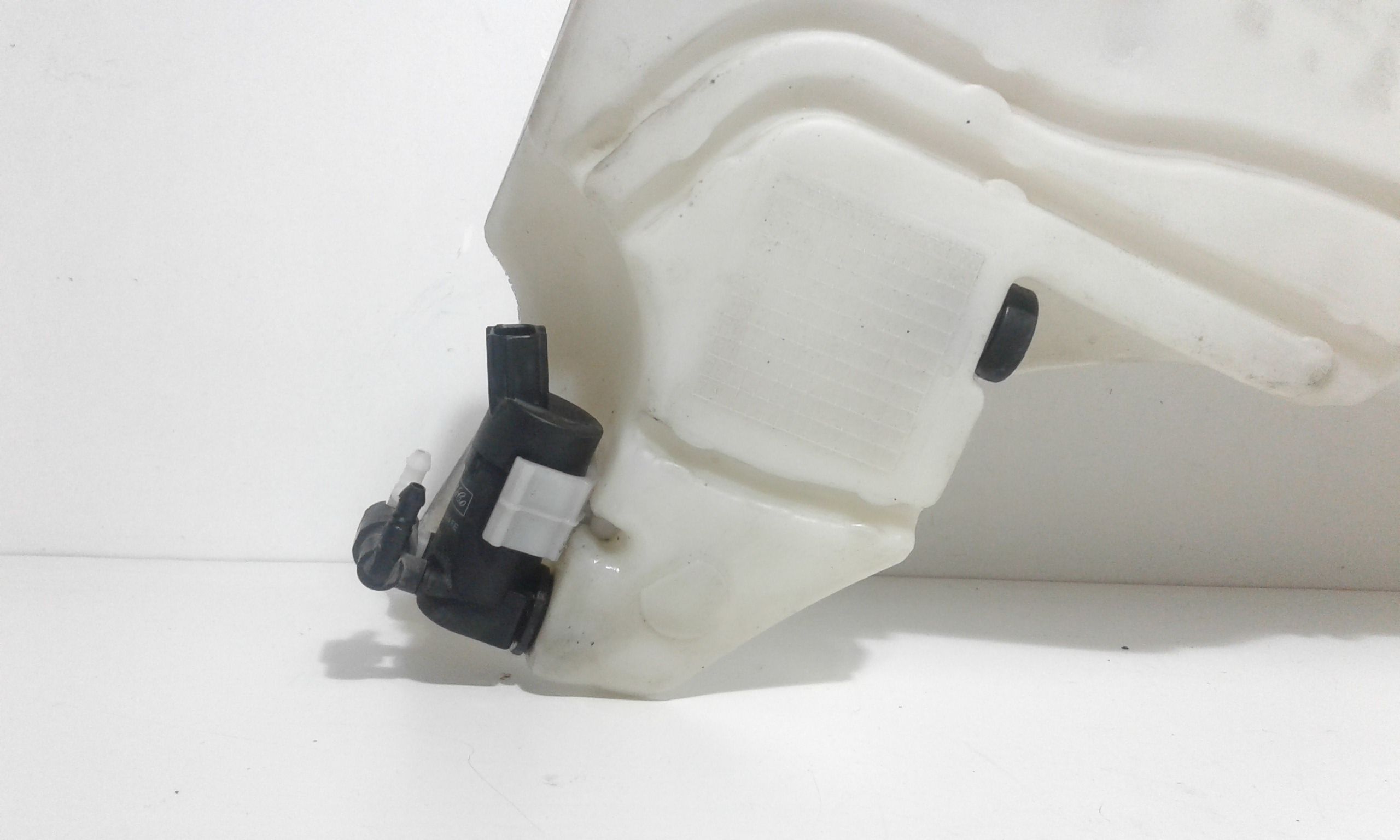 Vaschetta Tergi ant FORD Focus Berlina 3 Serie