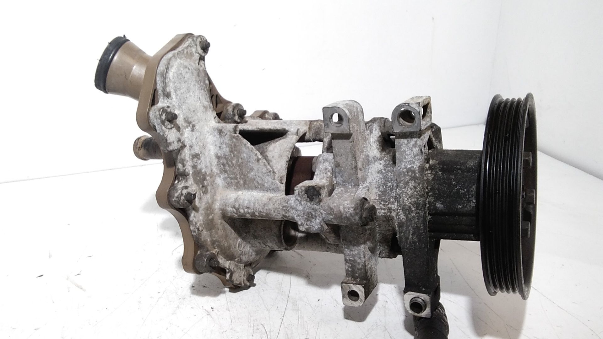 Pompa acqua FORD Transit Serie (00>06)