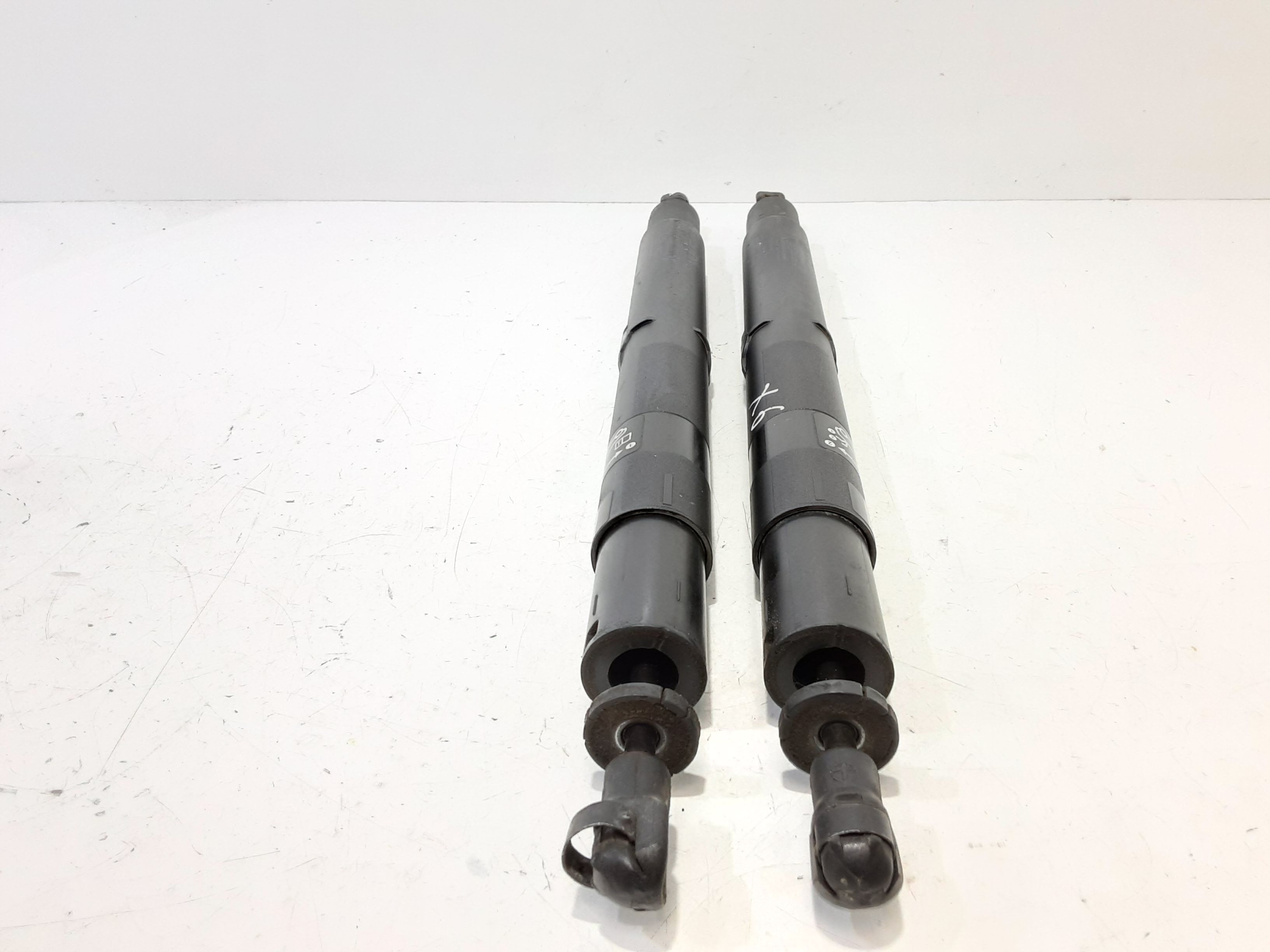 Pistoncini cofano Post. BMW X6 E71 1 Serie