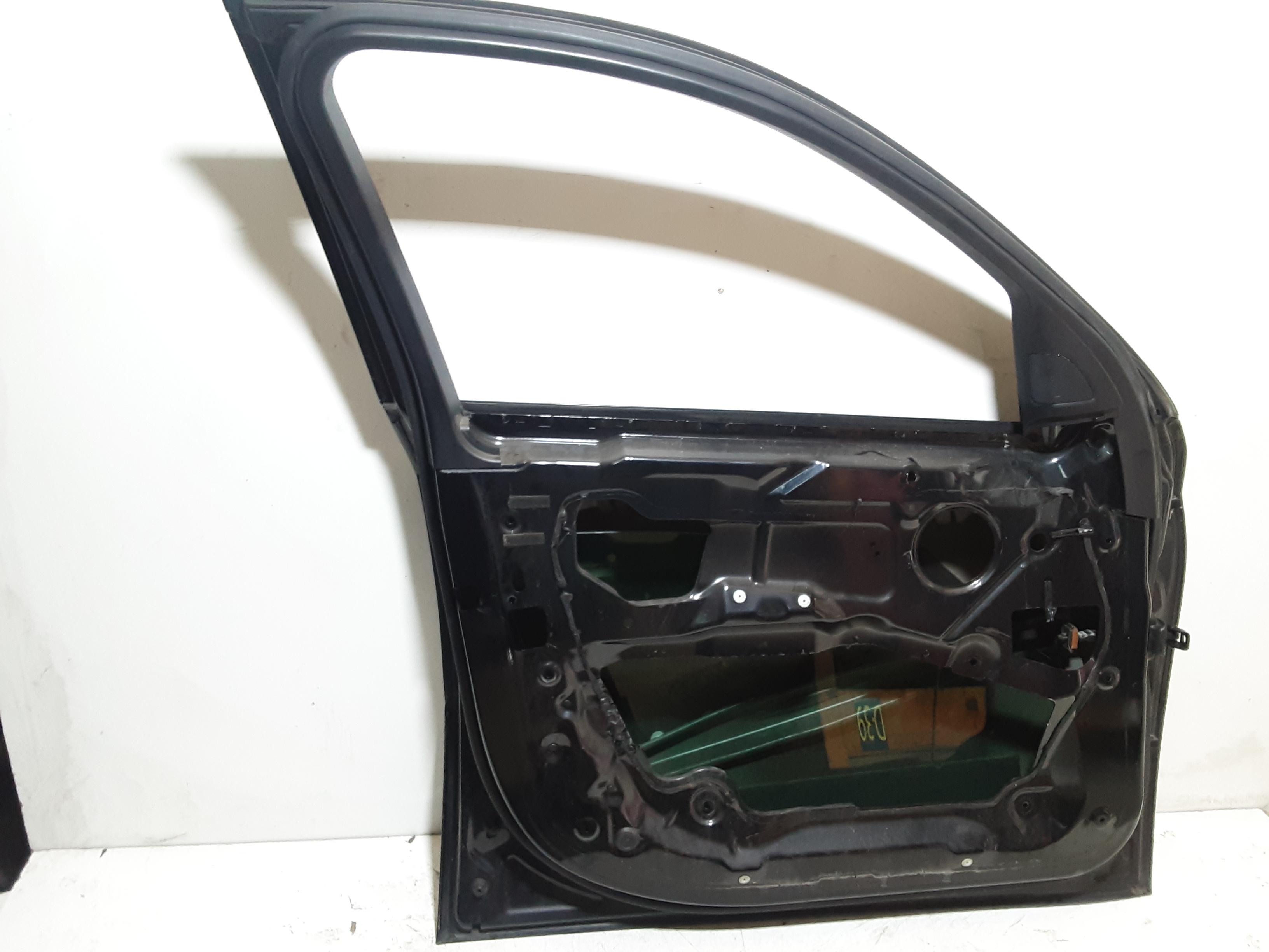 Portiera Anteriore Sinistra BMW X6 E71 1 Serie