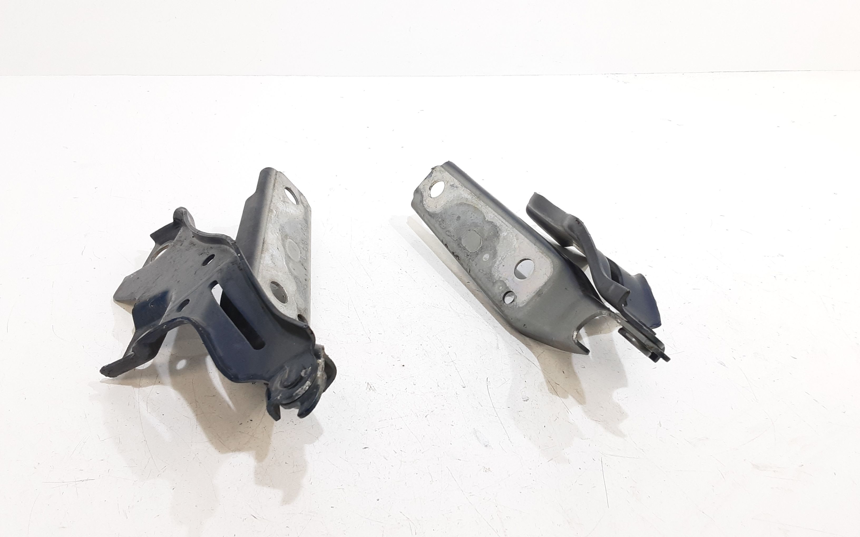 Cerniere cofano anteriore dx e sx VOLKSWAGEN Passat Alltrack (3G5,CB5) (15>)