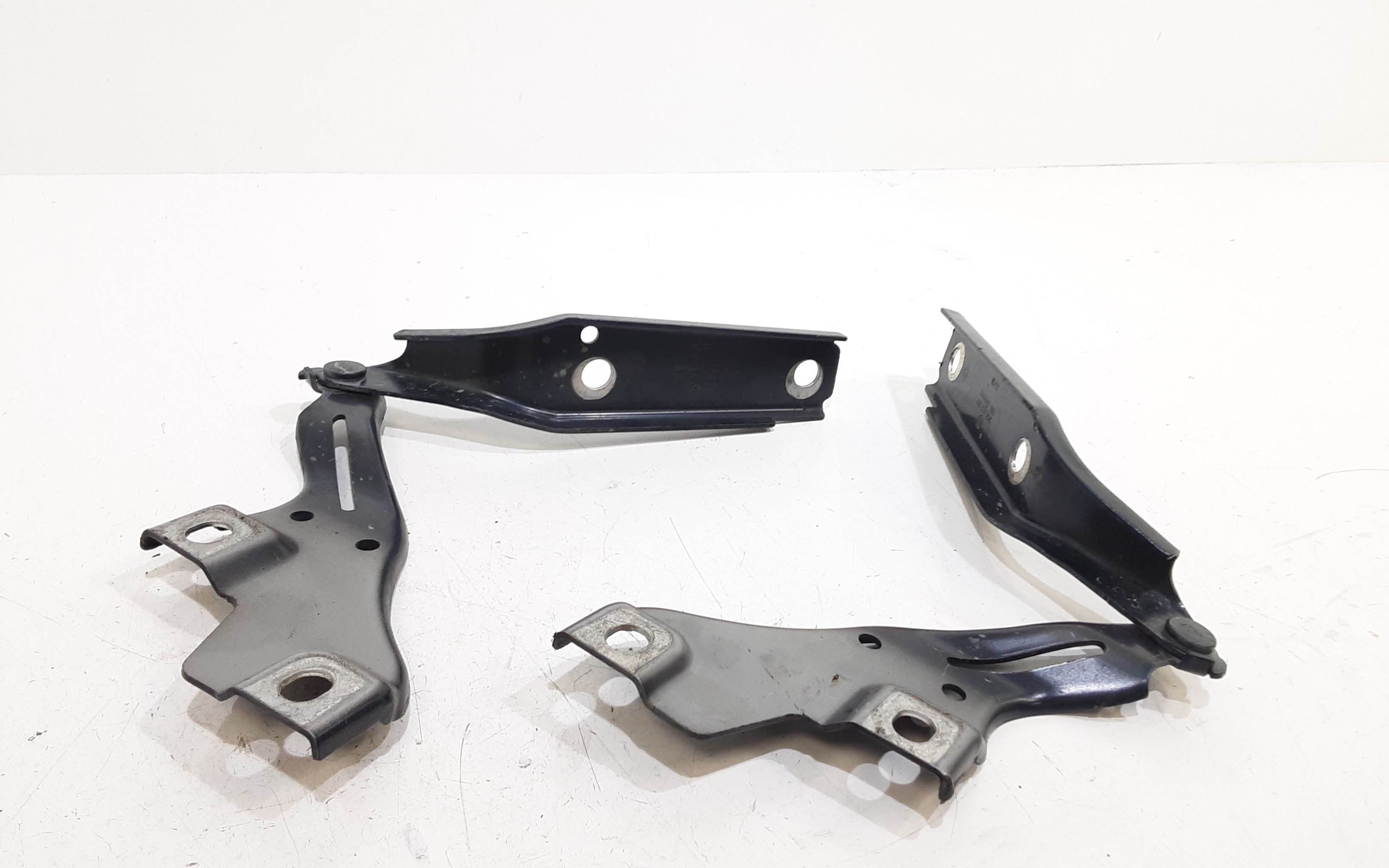 Cerniere cofano anteriore dx e sx VOLKSWAGEN Passat Alltrack (3G5,CB5) (15>)