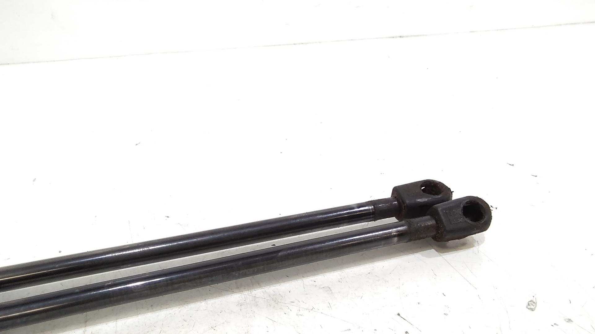 Pistoncini cofano Post. FORD S - Max Serie (15>18)