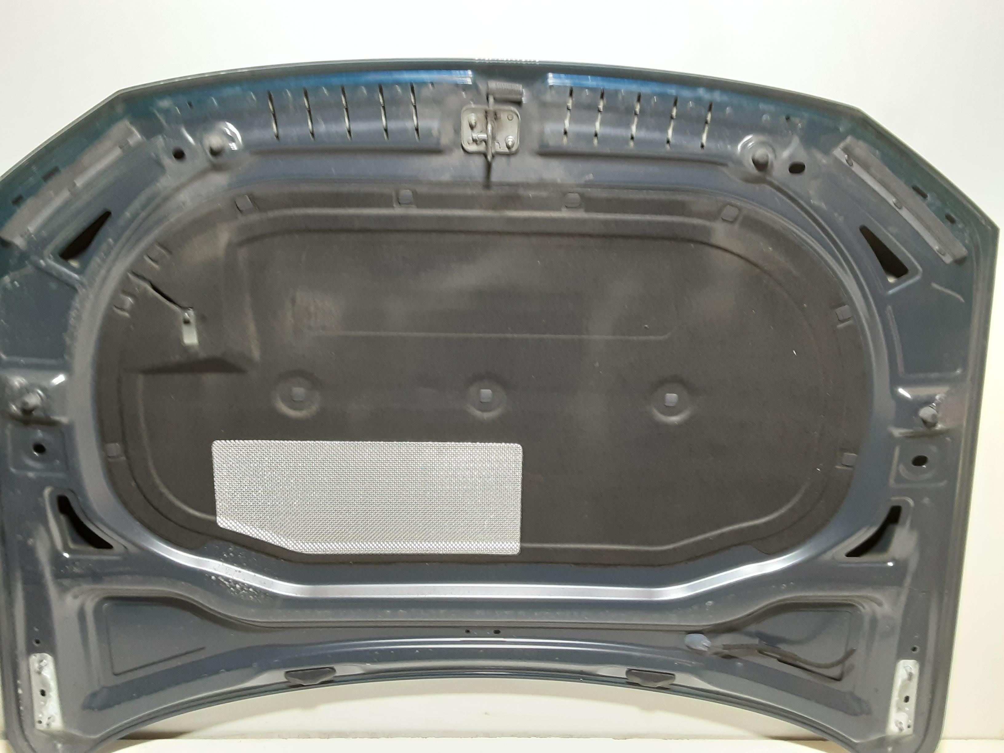 Cofano Anteriore VOLKSWAGEN Passat Alltrack (3G5,CB5) (15>)