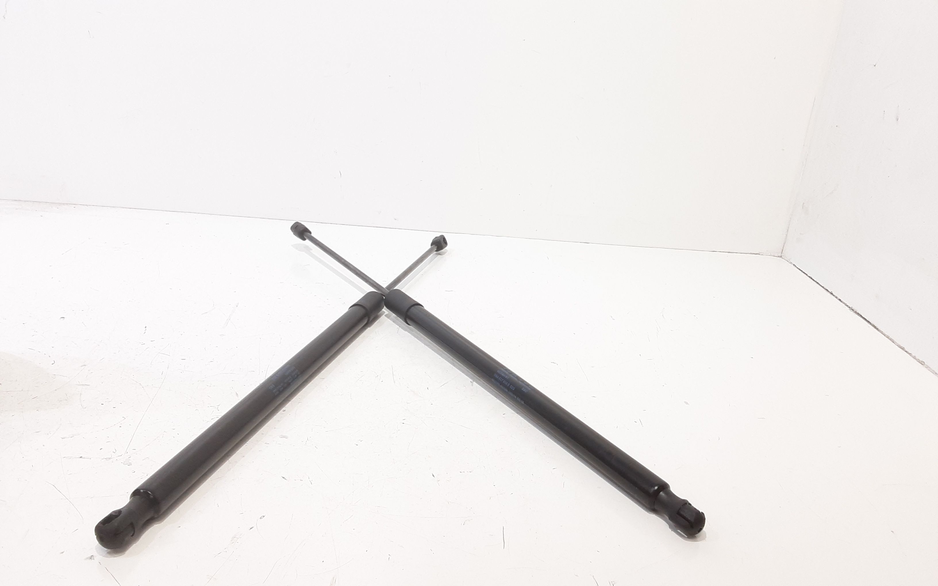 Pistoncini cofano Post. VOLKSWAGEN Tiguan Serie