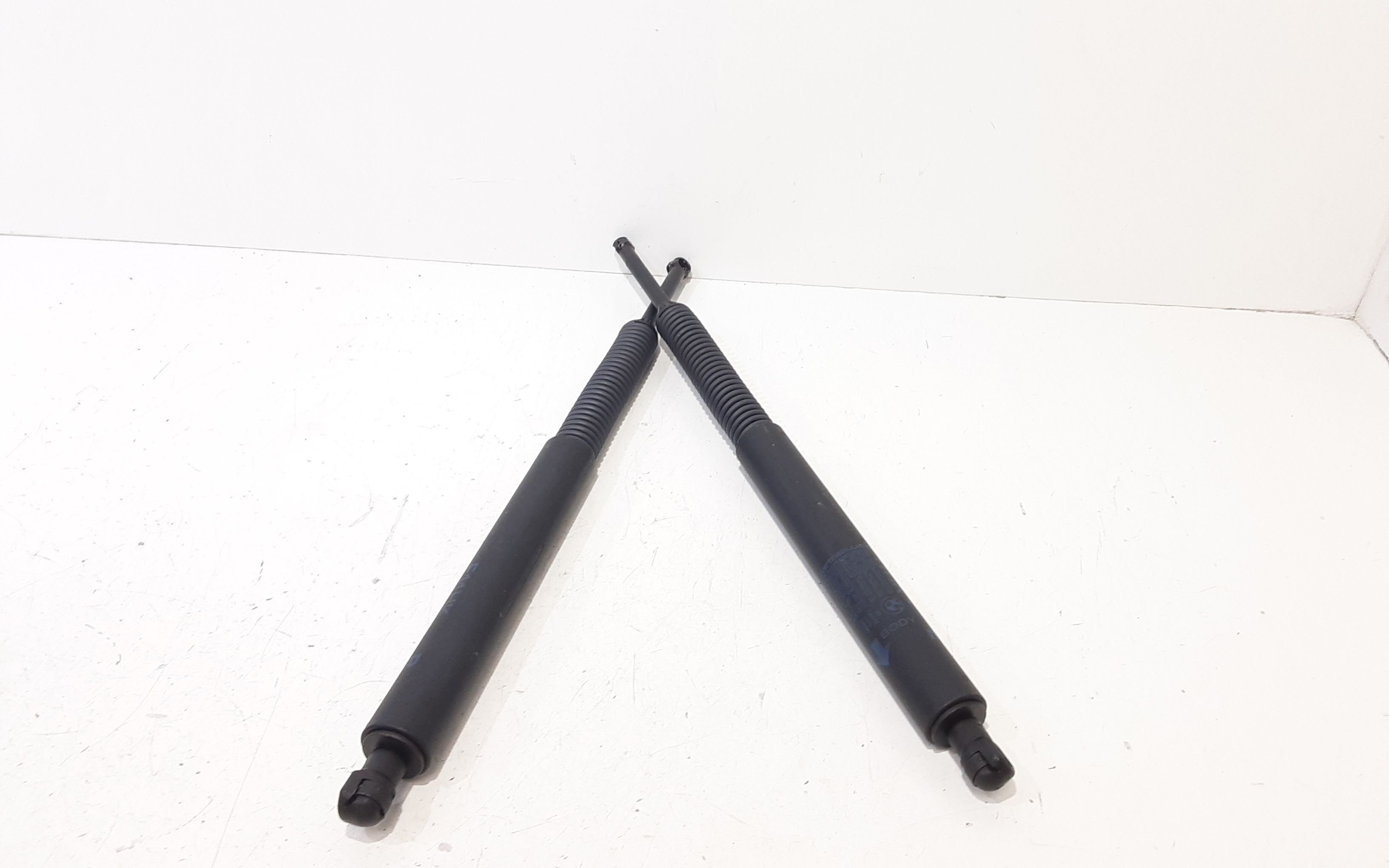 Pistoncini cofano Post. BMW Serie 5 Touring F10