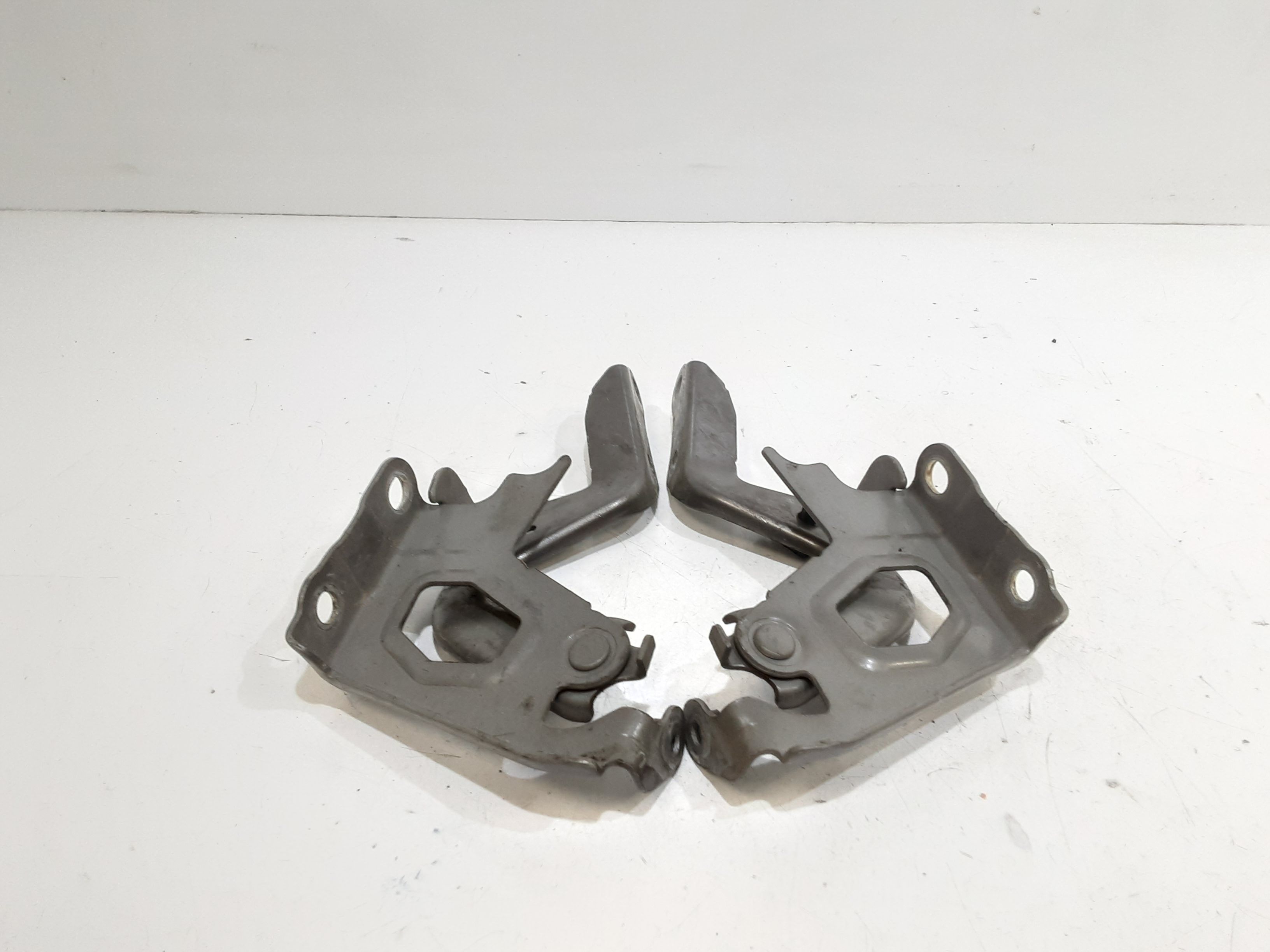Cerniere cofano anteriore dx e sx TOYOTA Rav4 Serie (18>)