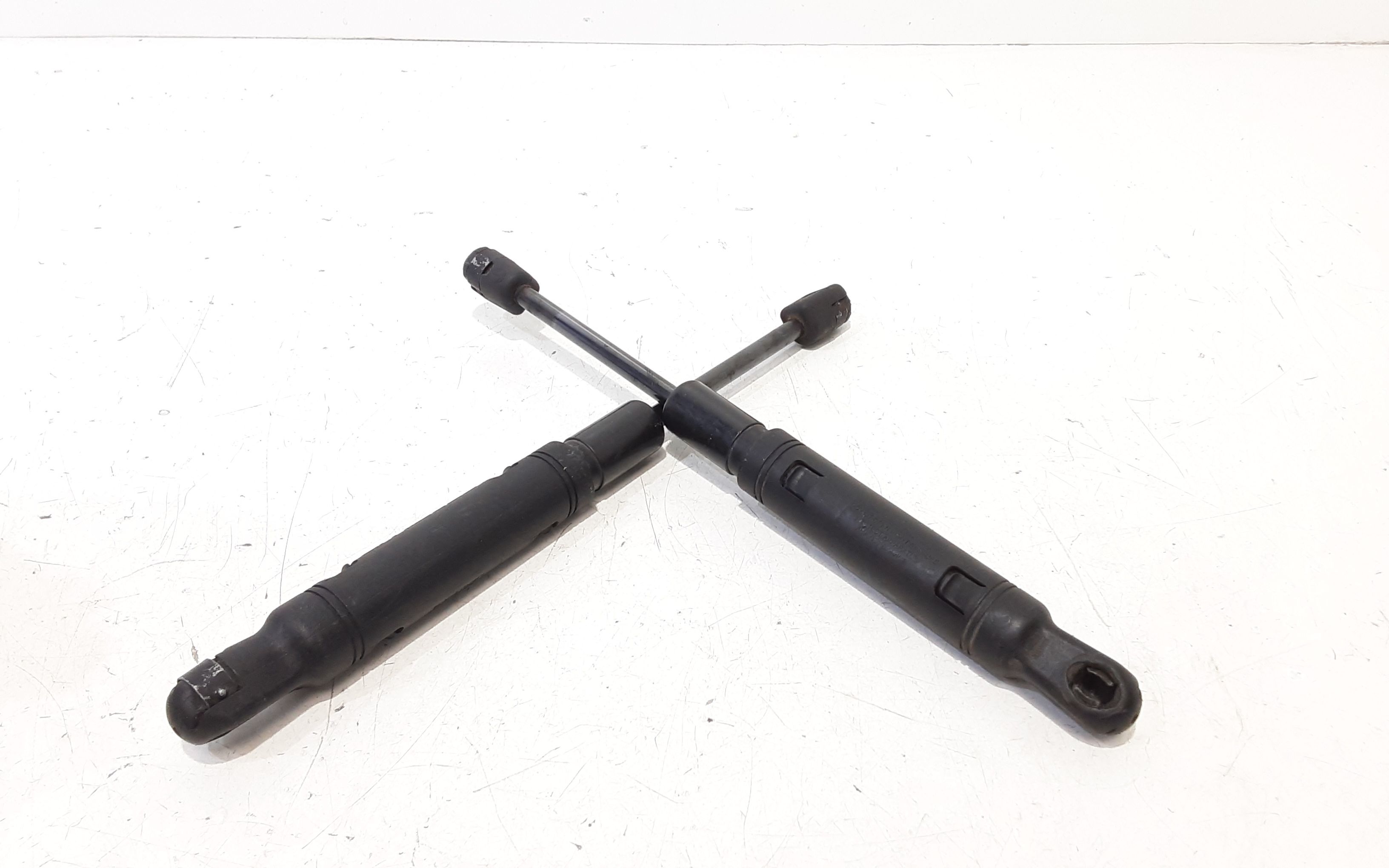 Pistoncini cofano ant BMW Serie 5 Touring F10