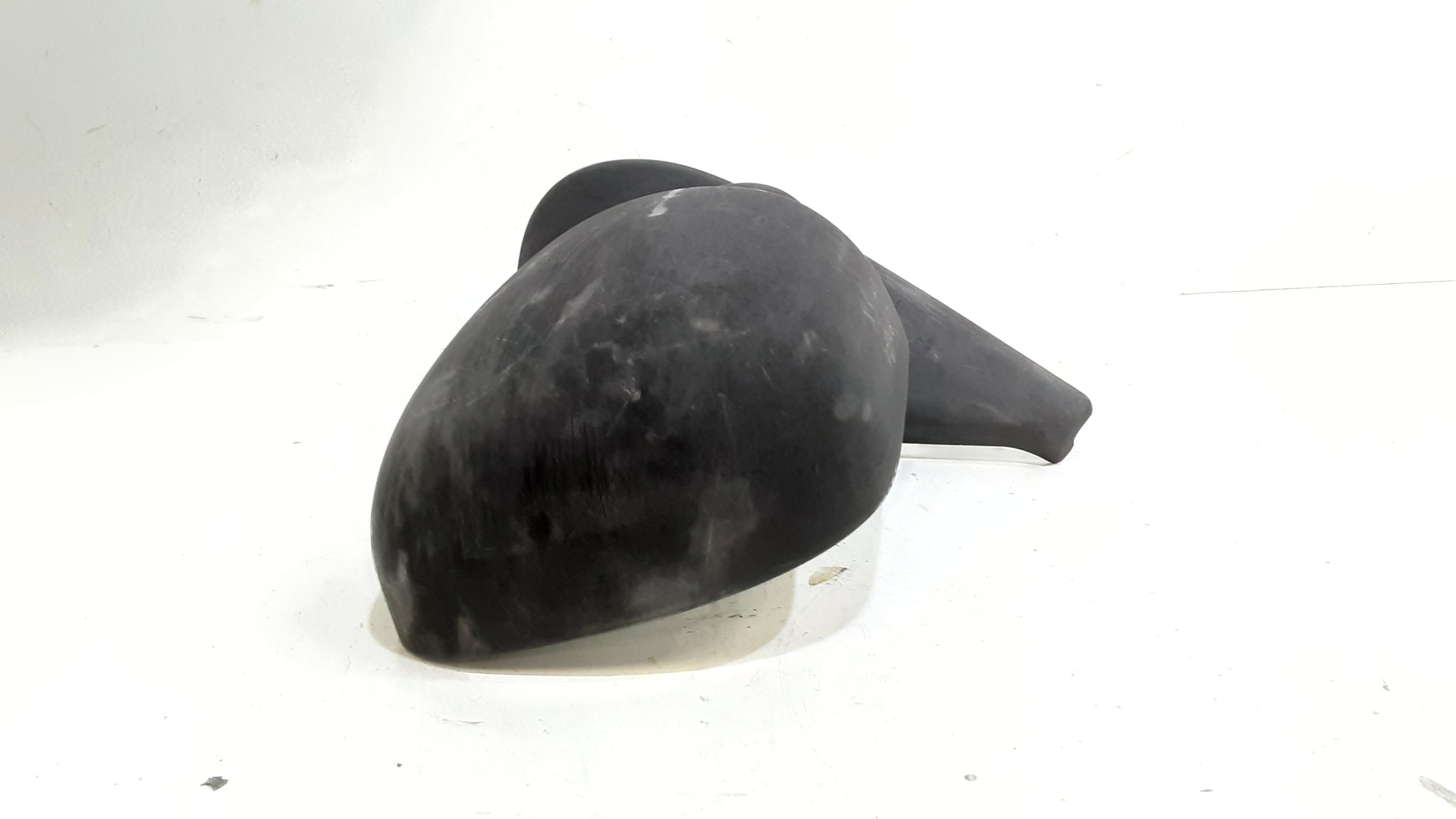 Specchietto Retrovisore Sinistro RENAULT Kangoo 1 Serie