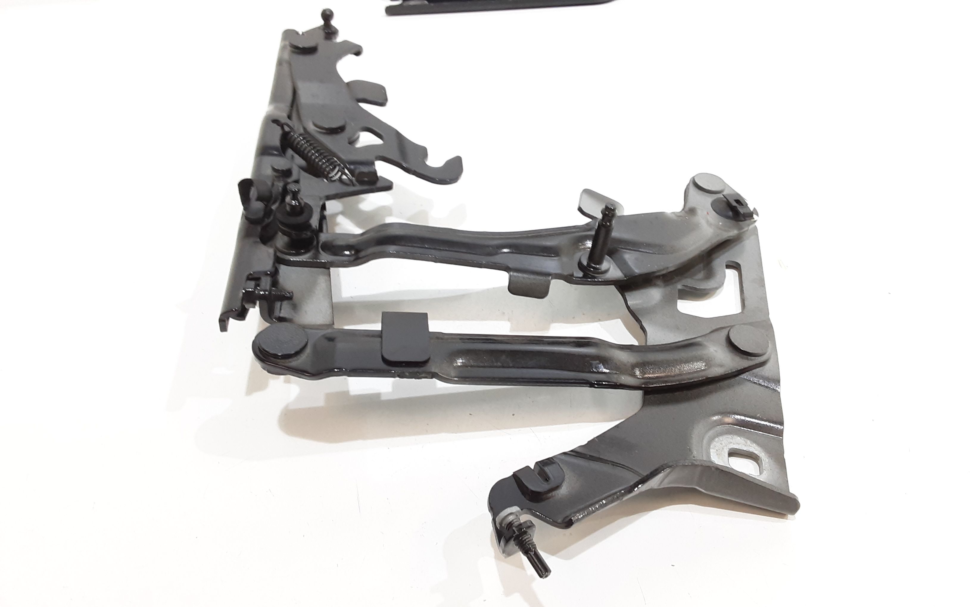 Cerniere cofano anteriore dx e sx AUDI Q5 Serie (FYB)