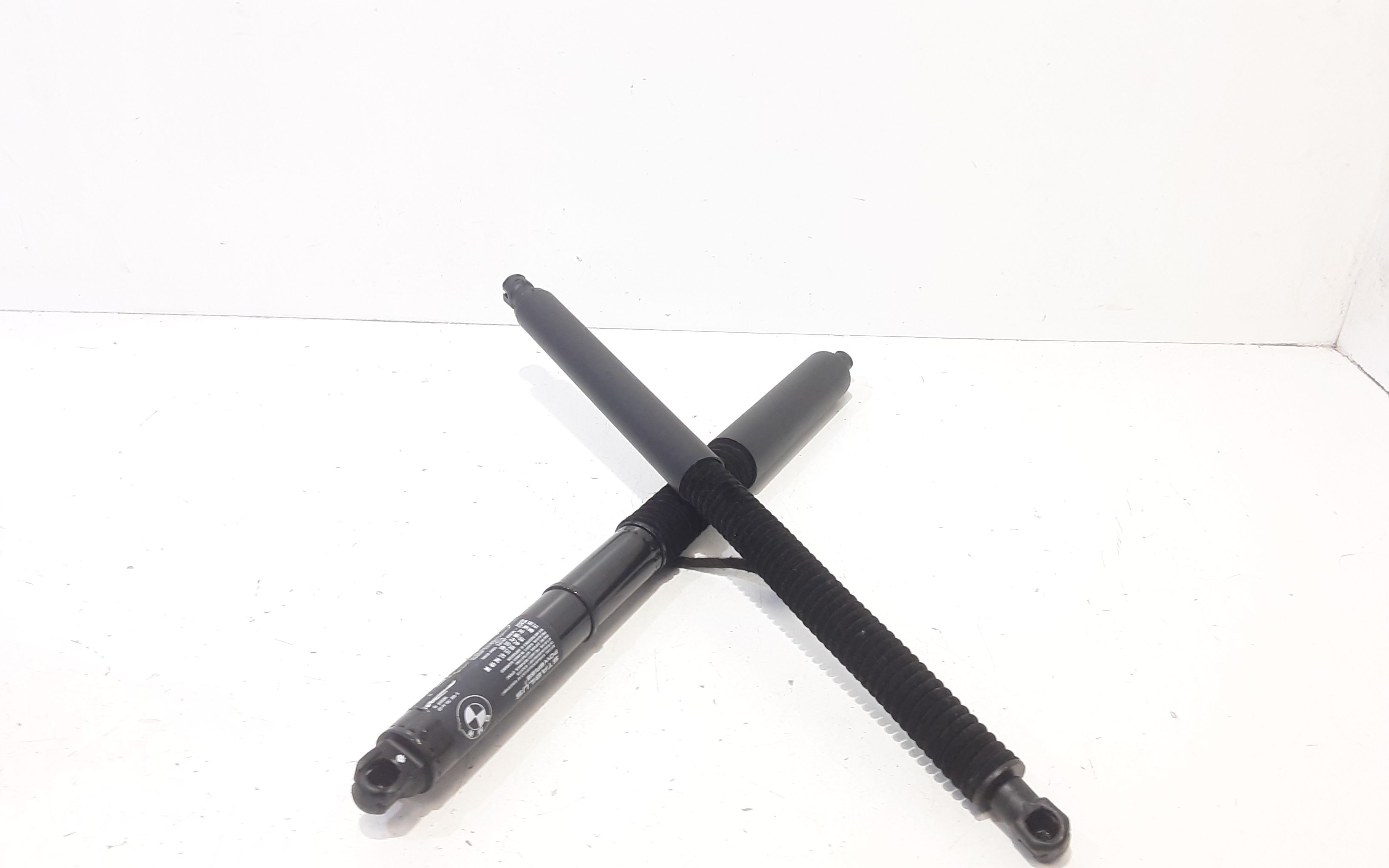 Pistoncini cofano Post. BMW iX3 Elettrica (G08) 80kW / 109 cv (20>)