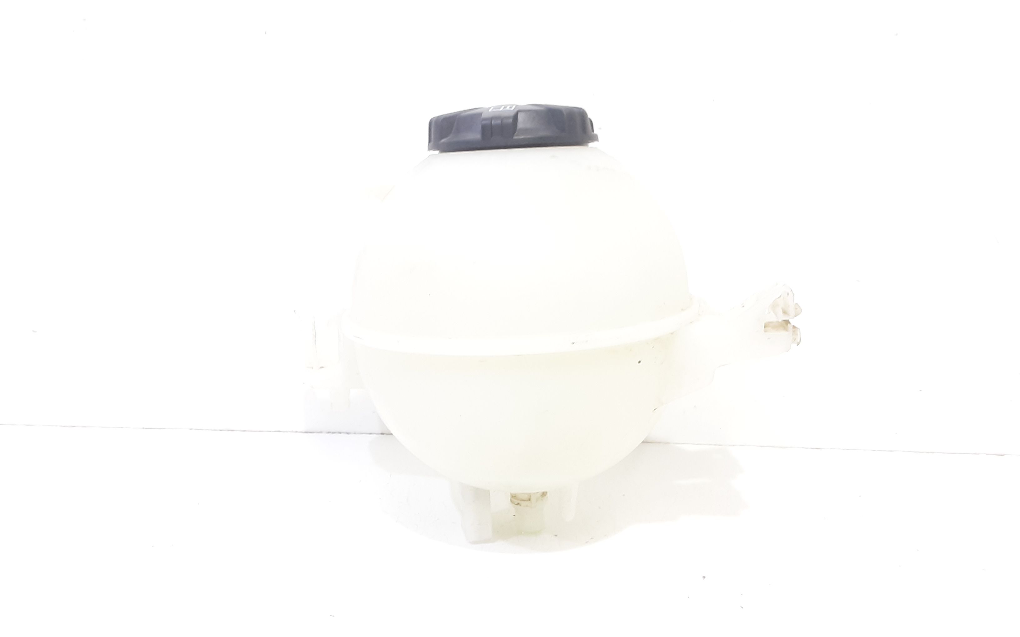 Vaschetta liquido radiatore BMW iX3 Elettrica (G08) 80kW / 109 cv (20>)