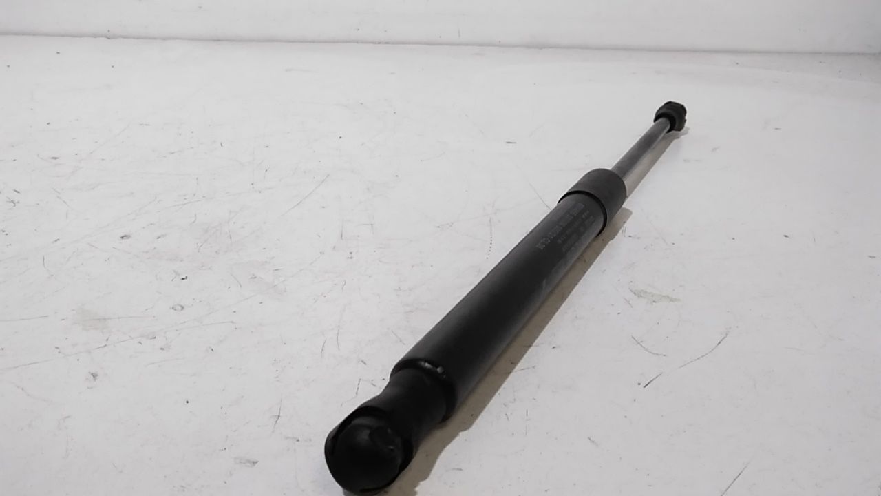 Pistoncini cofano Post. FIAT 500 Serie Elettrica (20>)