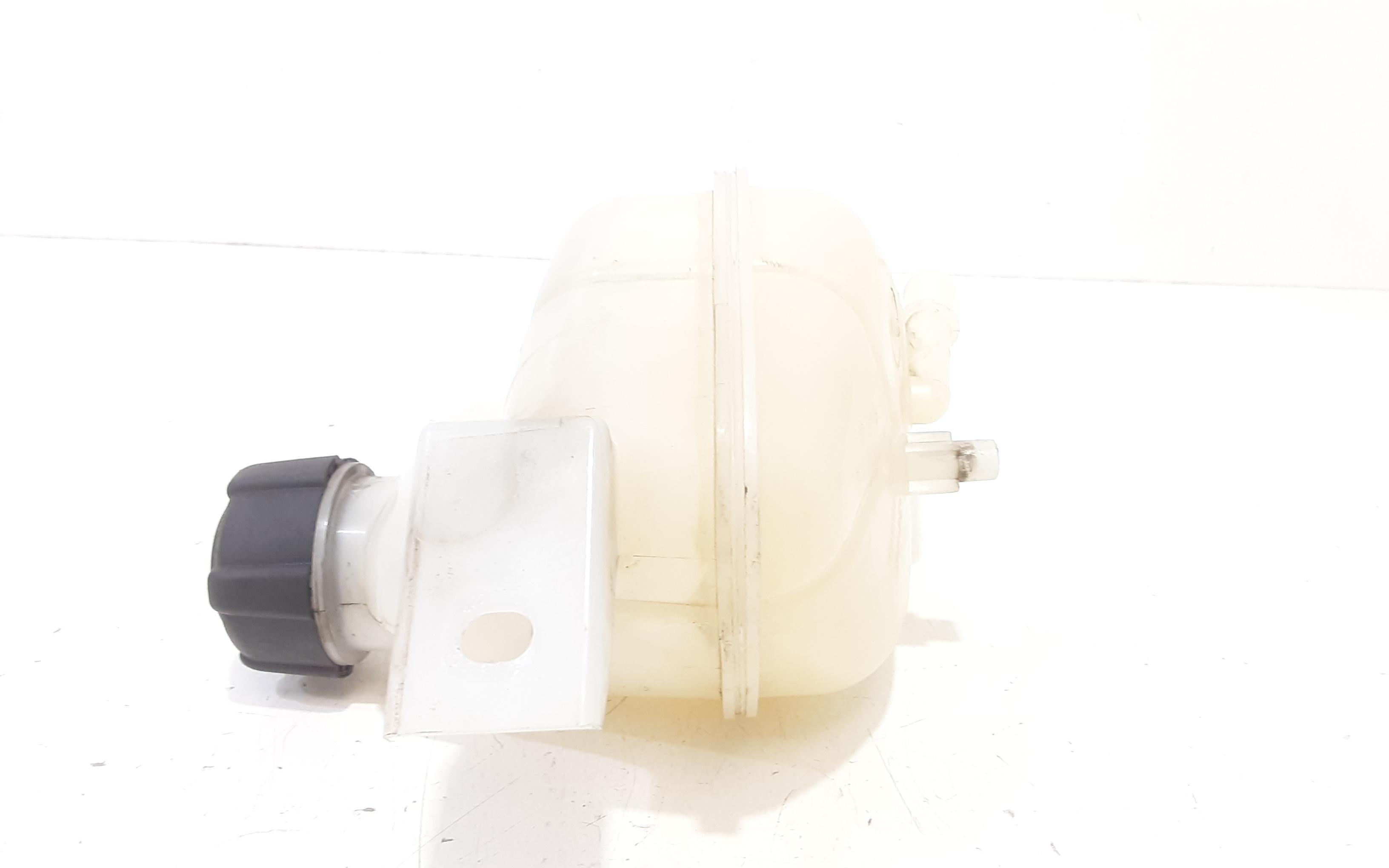 Vaschetta liquido radiatore RENAULT Kadjar Serie