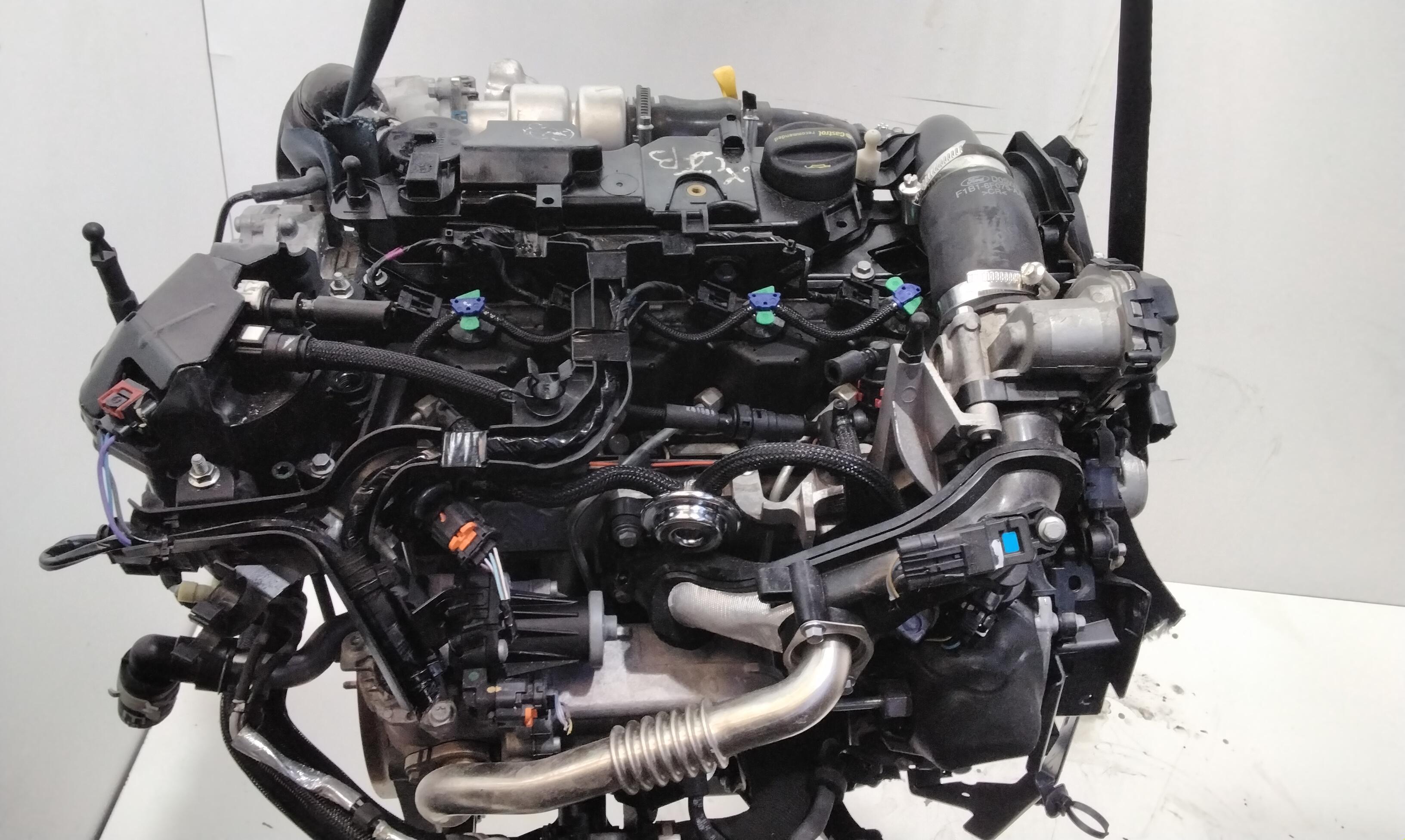 Motore Semicompleto FORD Fiesta 6 Serie