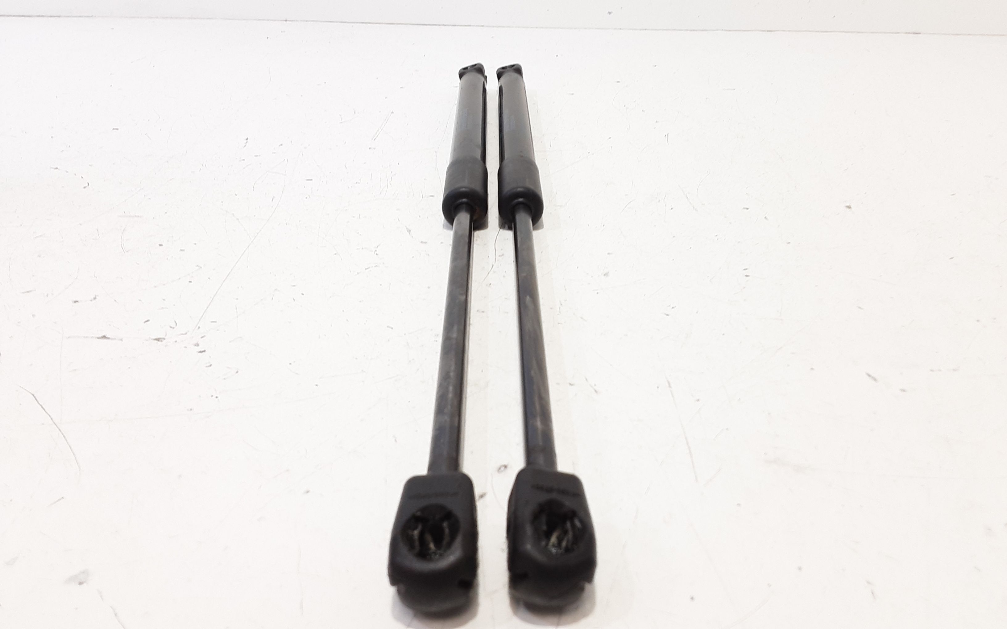 Pistoncini cofano ant BMW X1 Serie (F48) (15>)