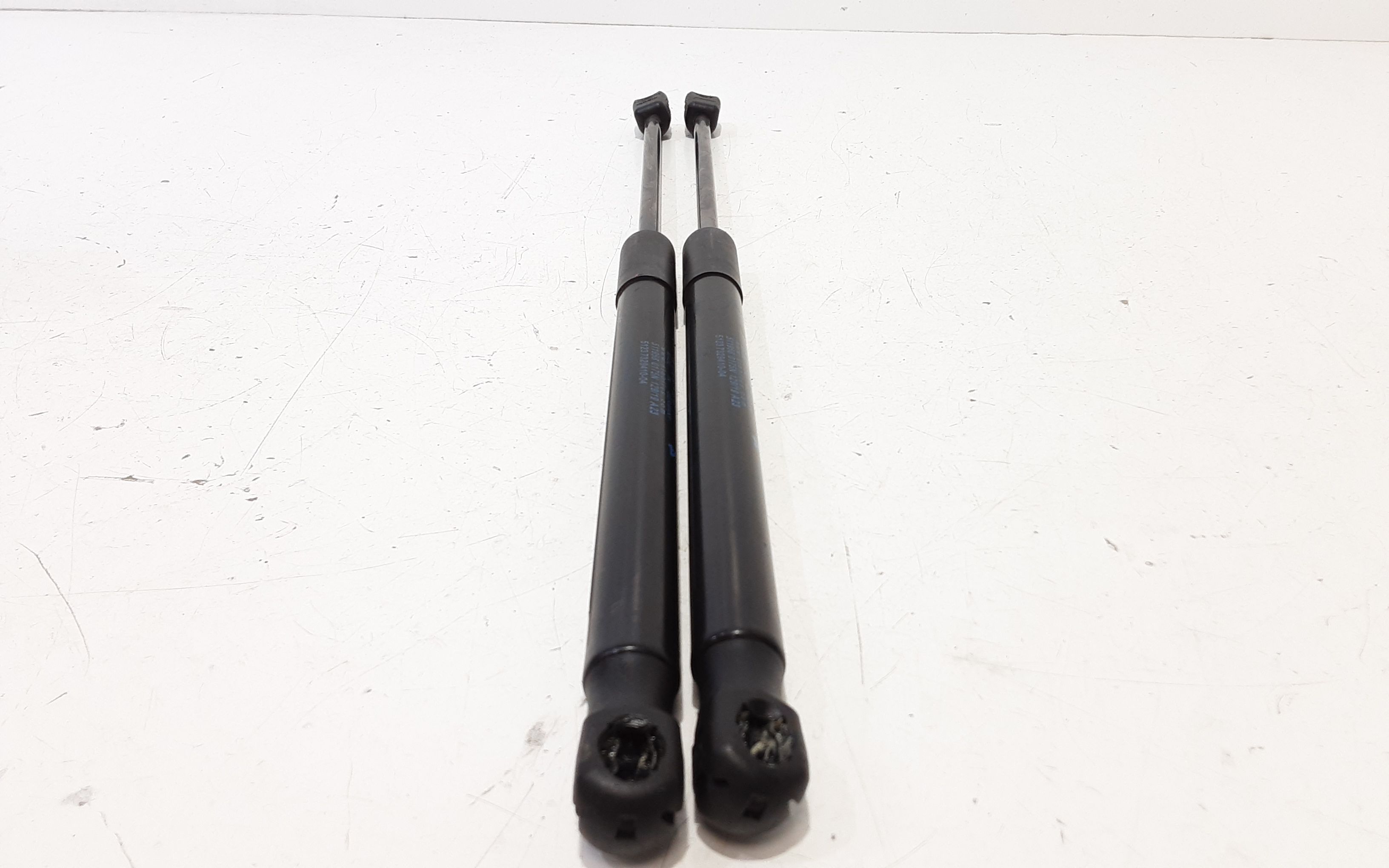 Pistoncini cofano ant BMW X1 Serie (F48) (15>)