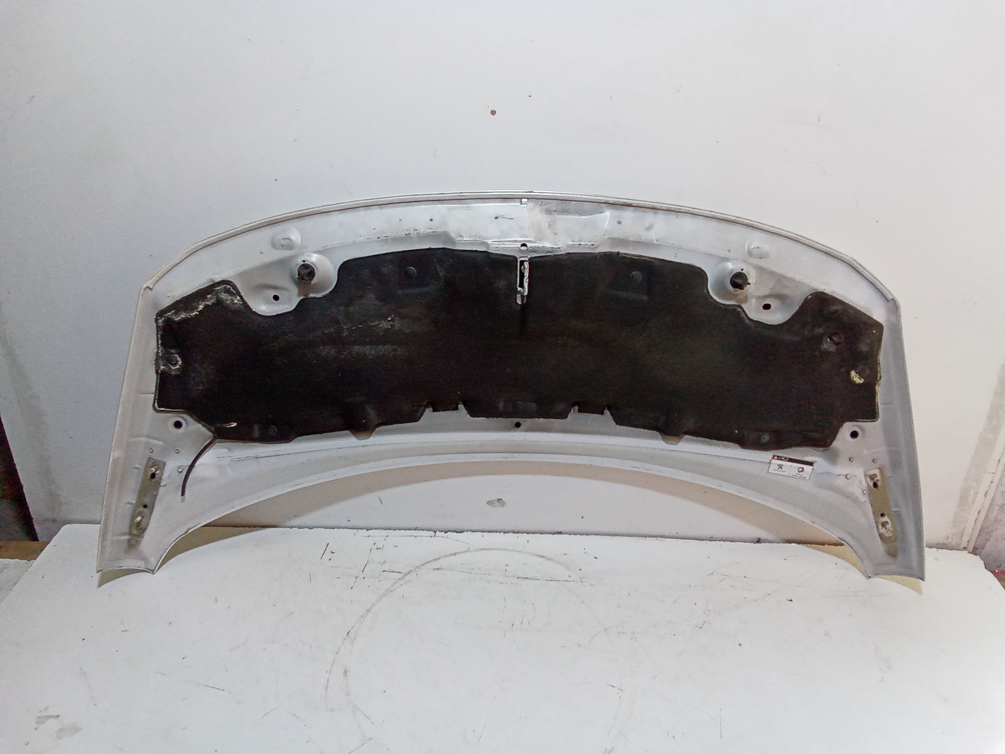 Cofano Anteriore PEUGEOT 3008 Serie (09>16)