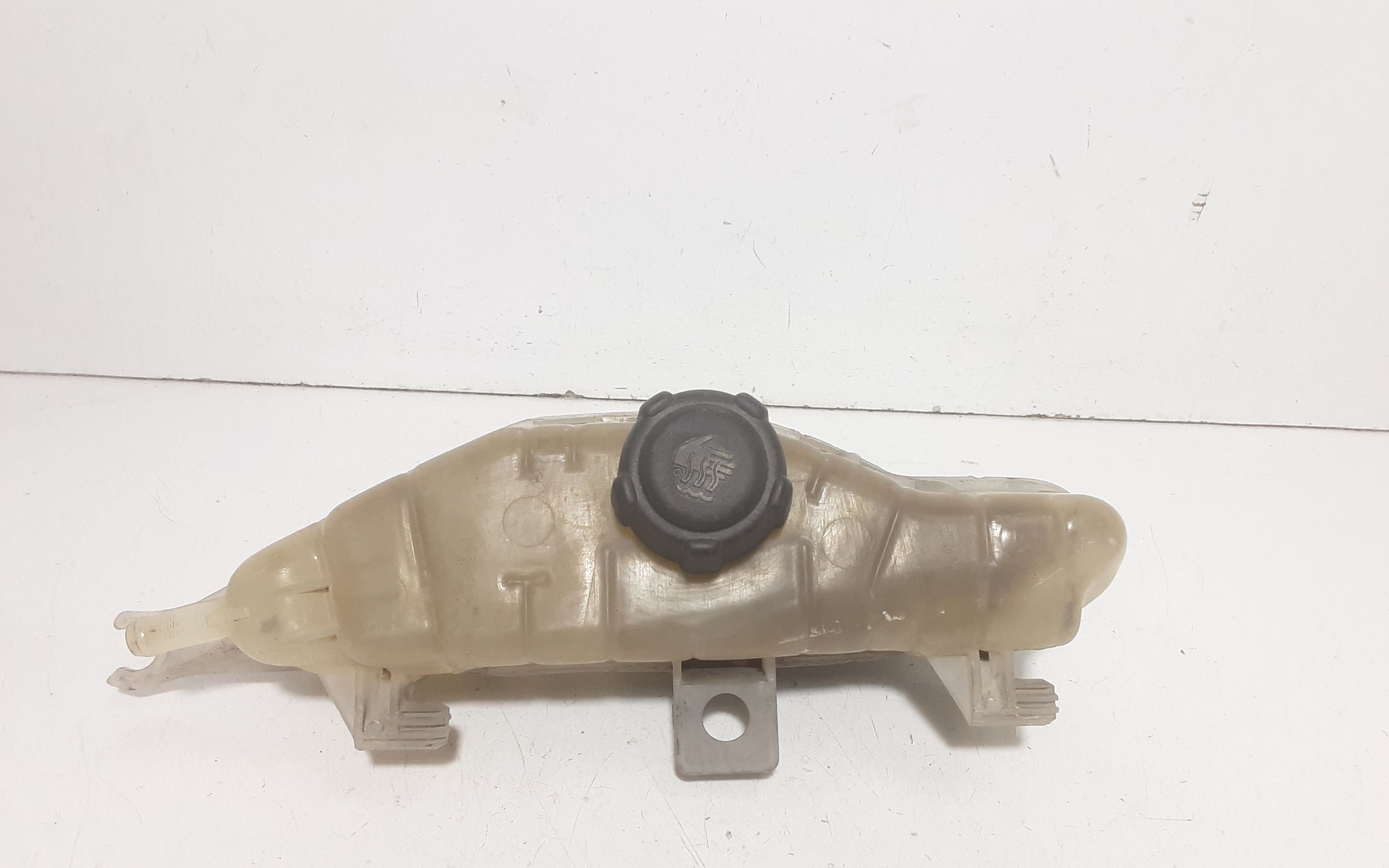 Vaschetta liquido radiatore RENAULT Clio Serie (04>08)