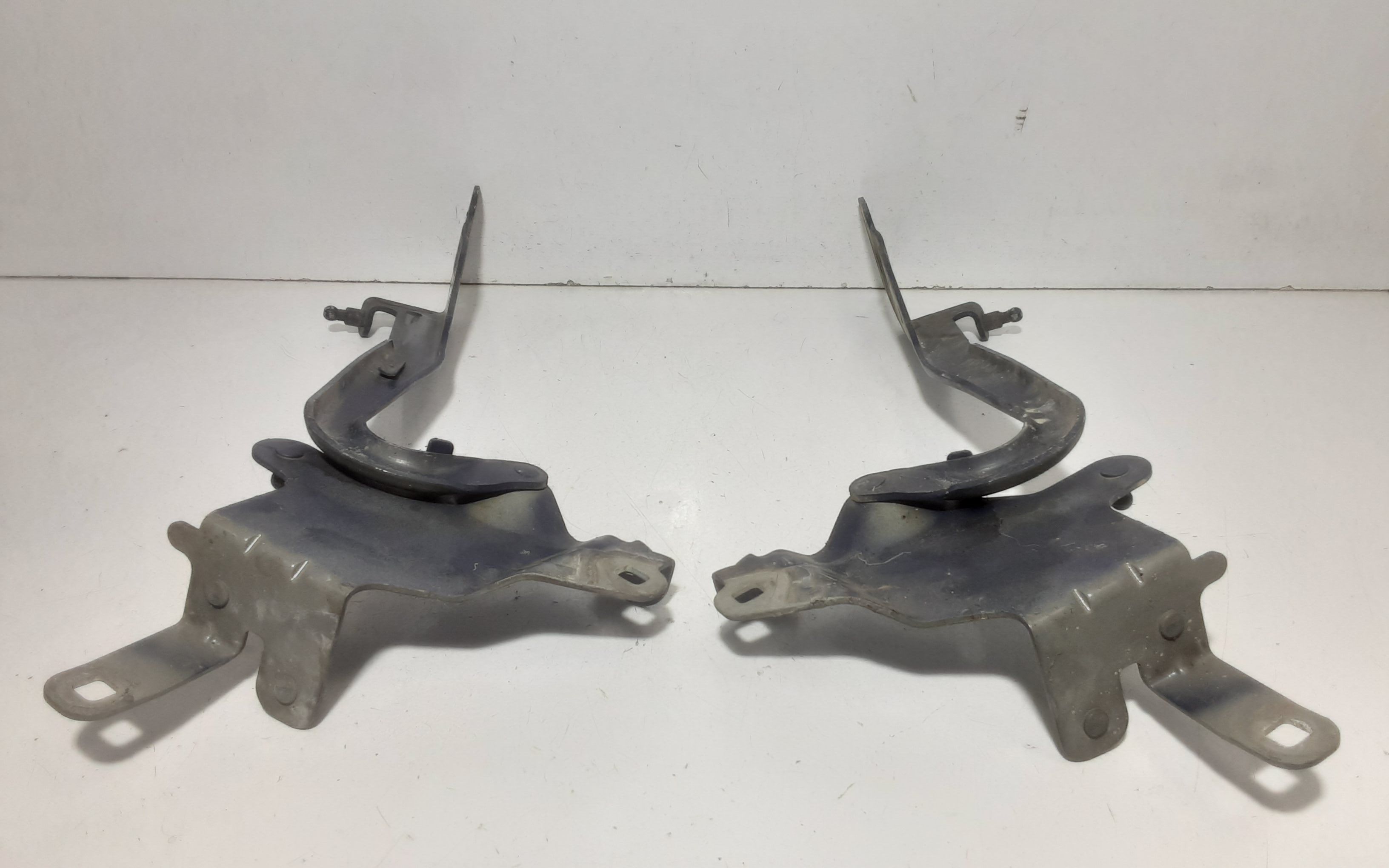 Cerniere cofano anteriore dx e sx RENAULT Scenic X MOD