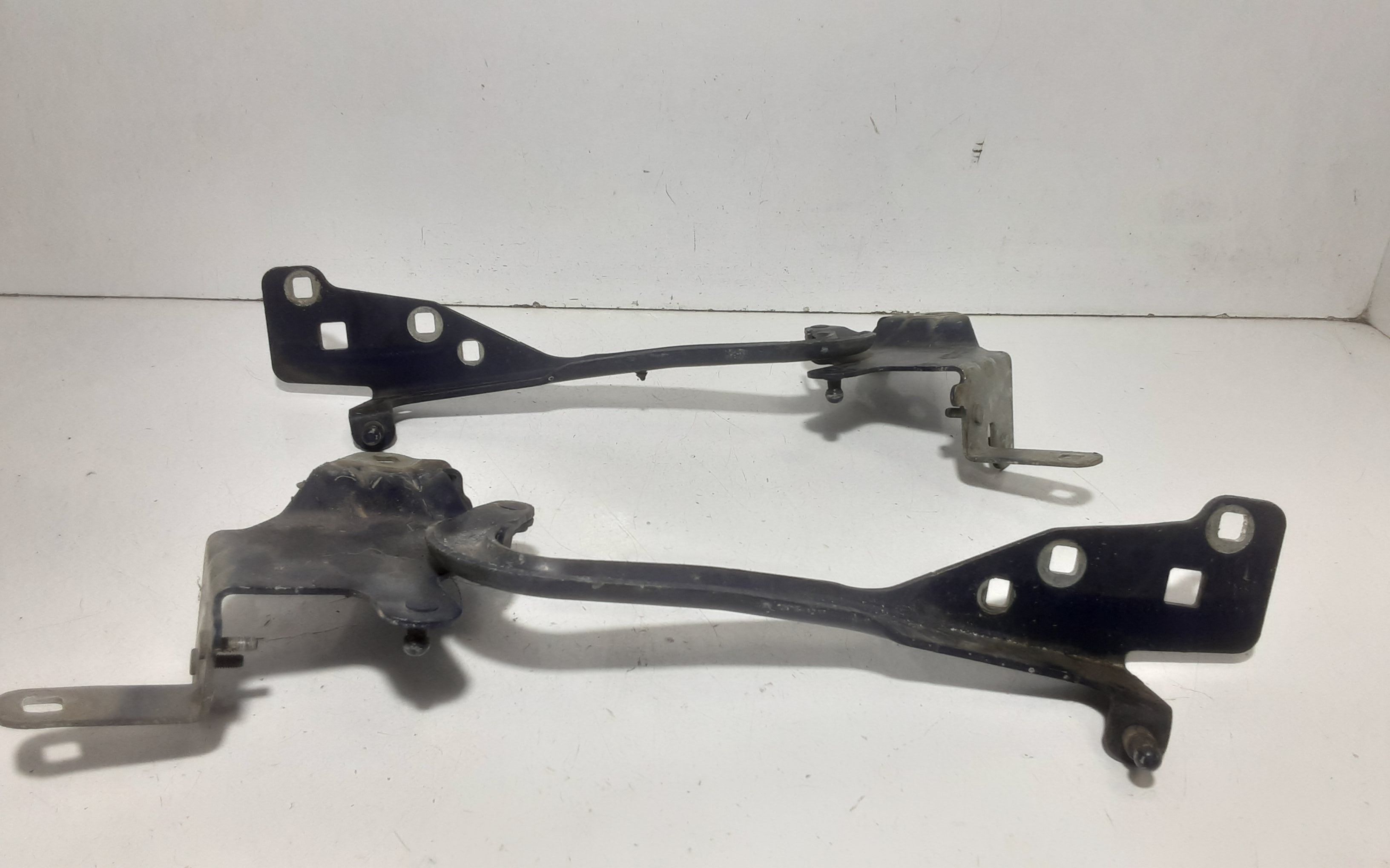 Cerniere cofano anteriore dx e sx RENAULT Scenic X MOD