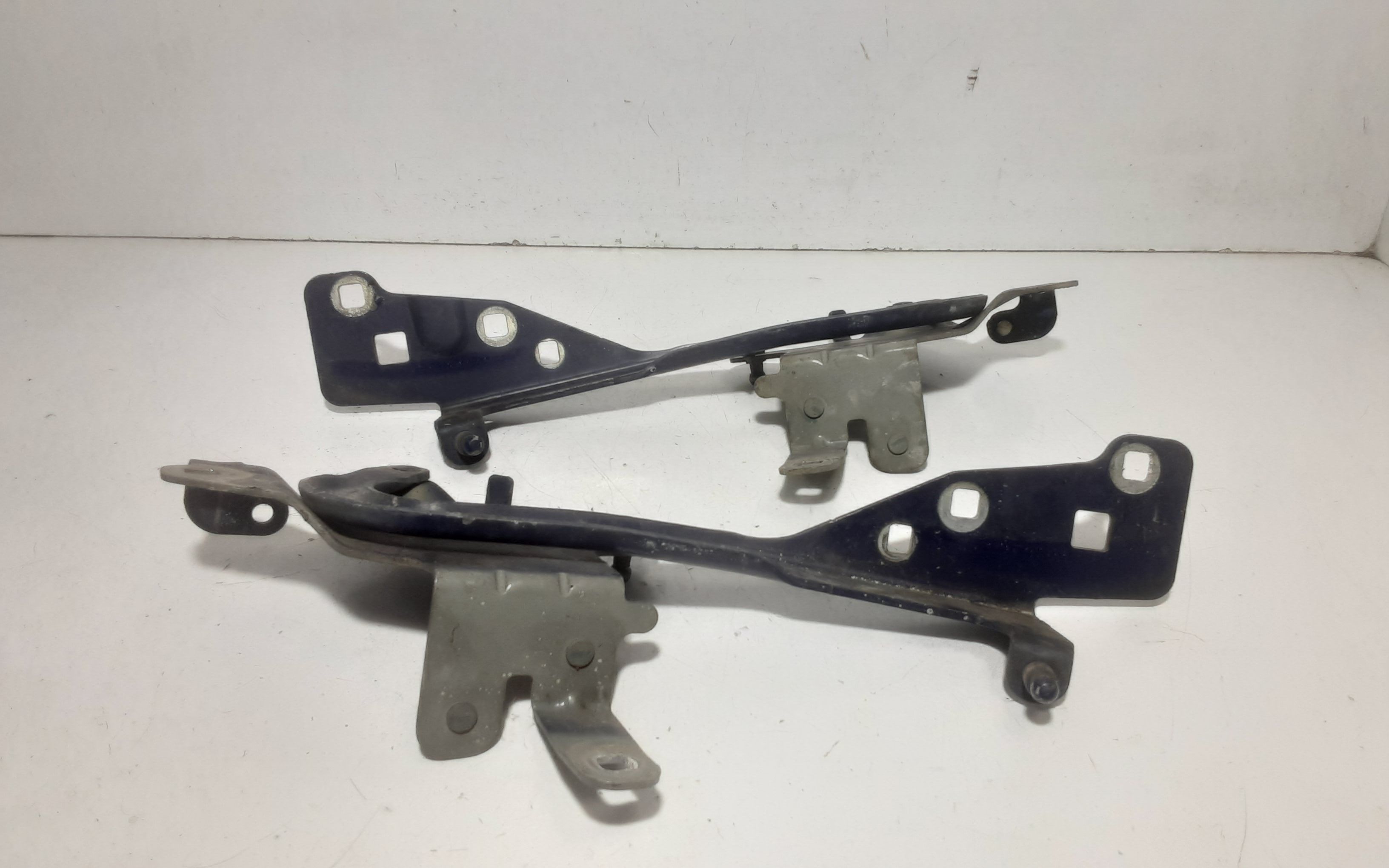 Cerniere cofano anteriore dx e sx RENAULT Scenic X MOD