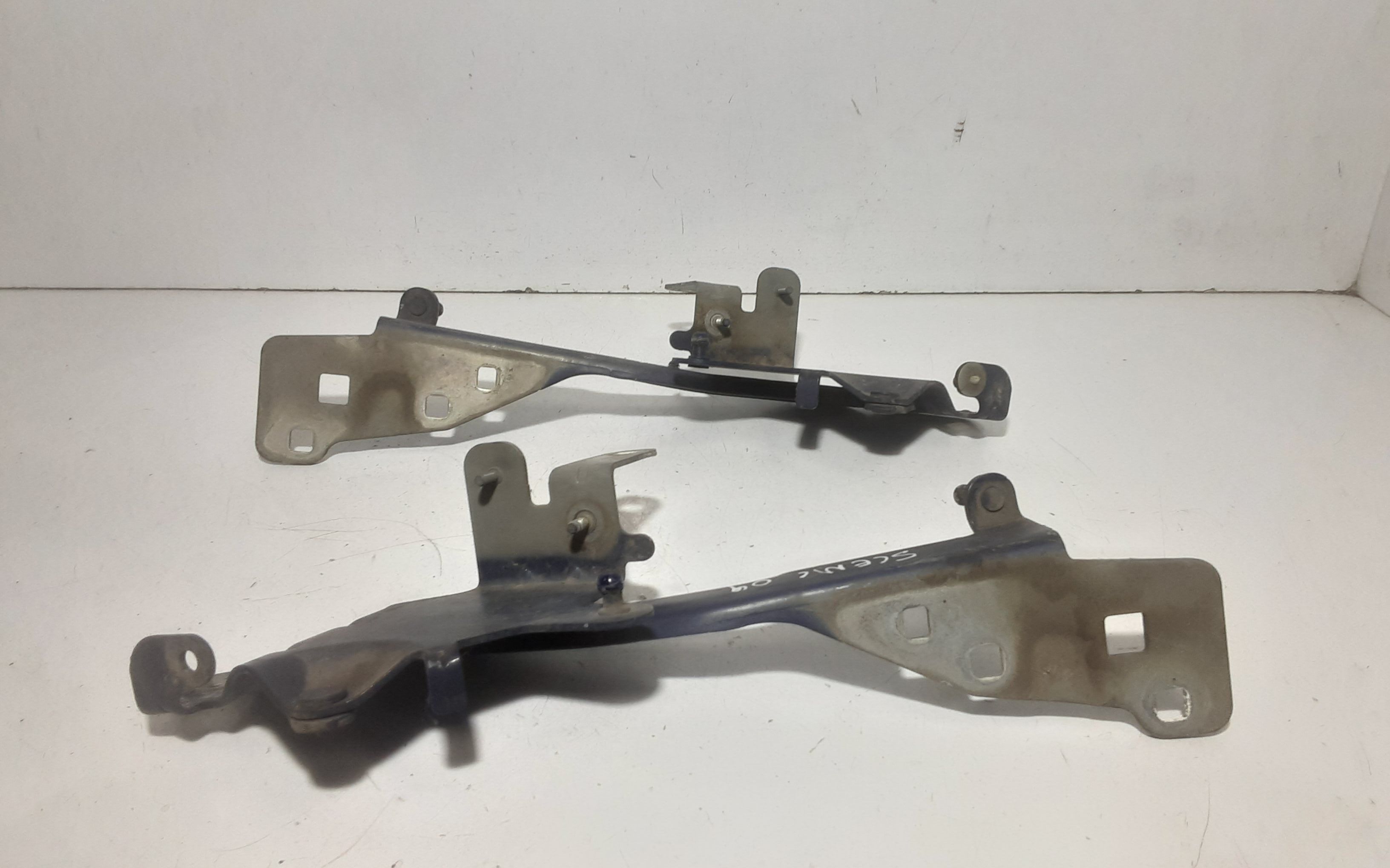 Cerniere cofano anteriore dx e sx RENAULT Scenic X MOD