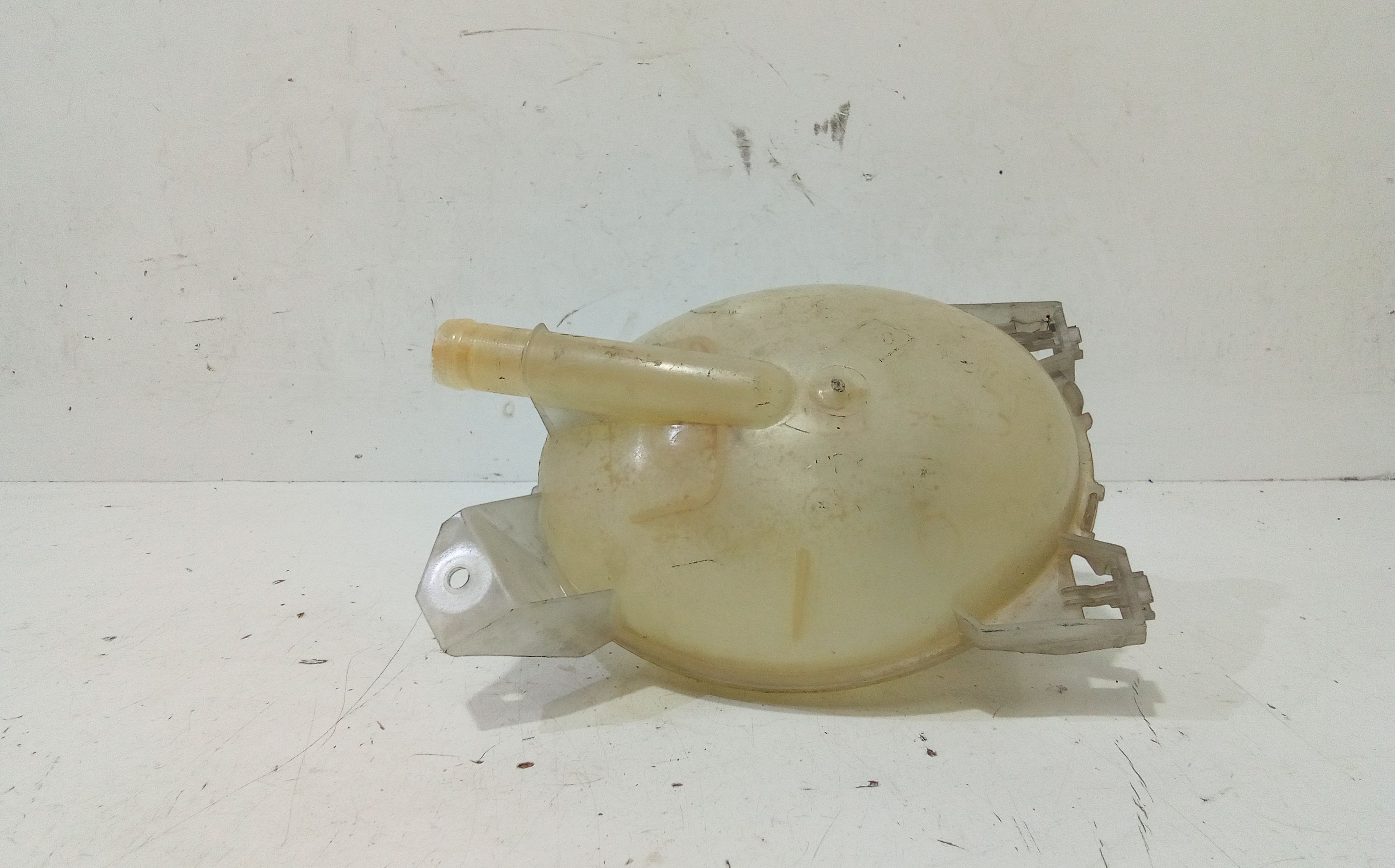 Vaschetta acqua liquido refrigerante RENAULT Clio Serie (08>15)