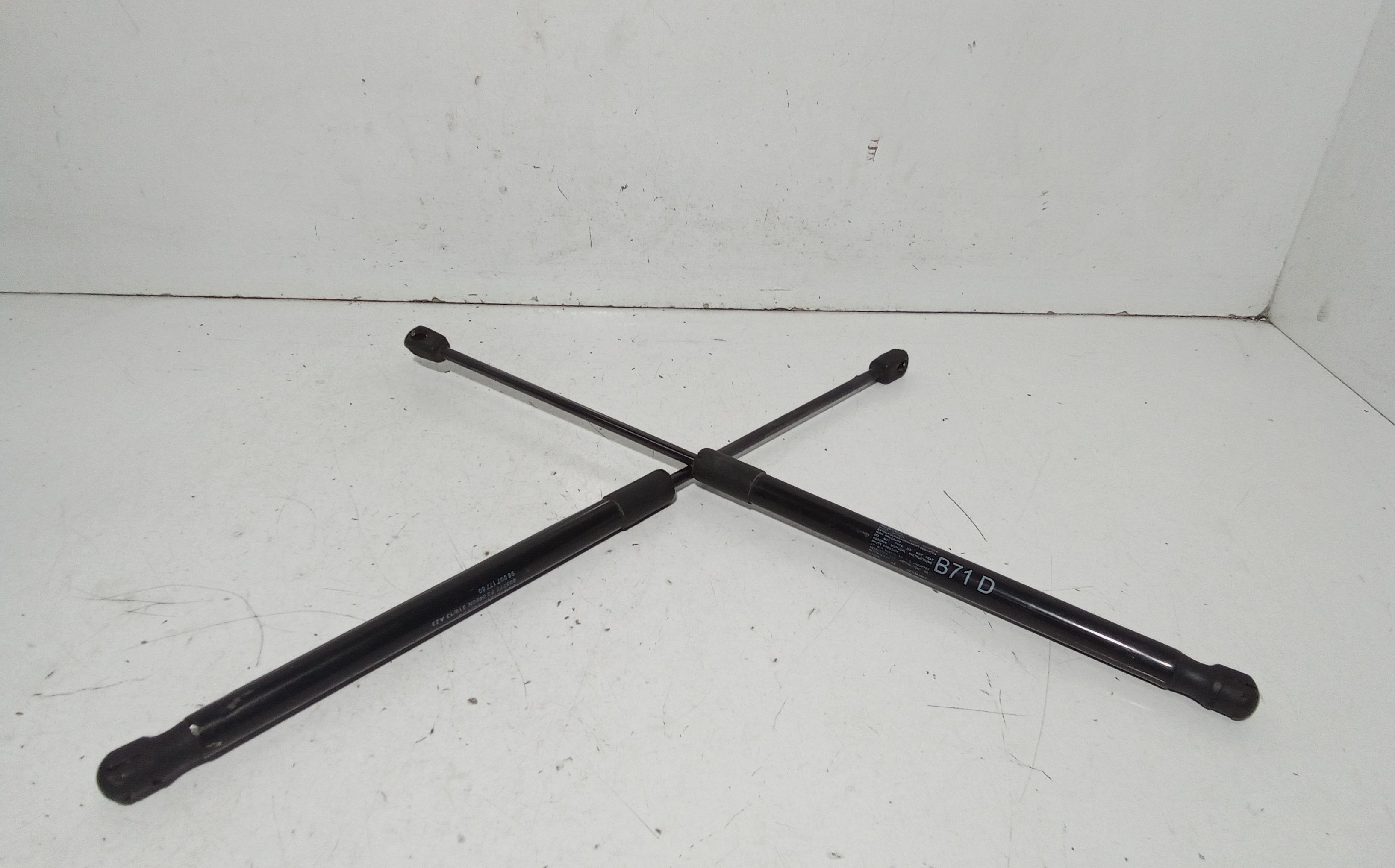 Pistoncini cofano Post. CITROEN C4 2 Serie