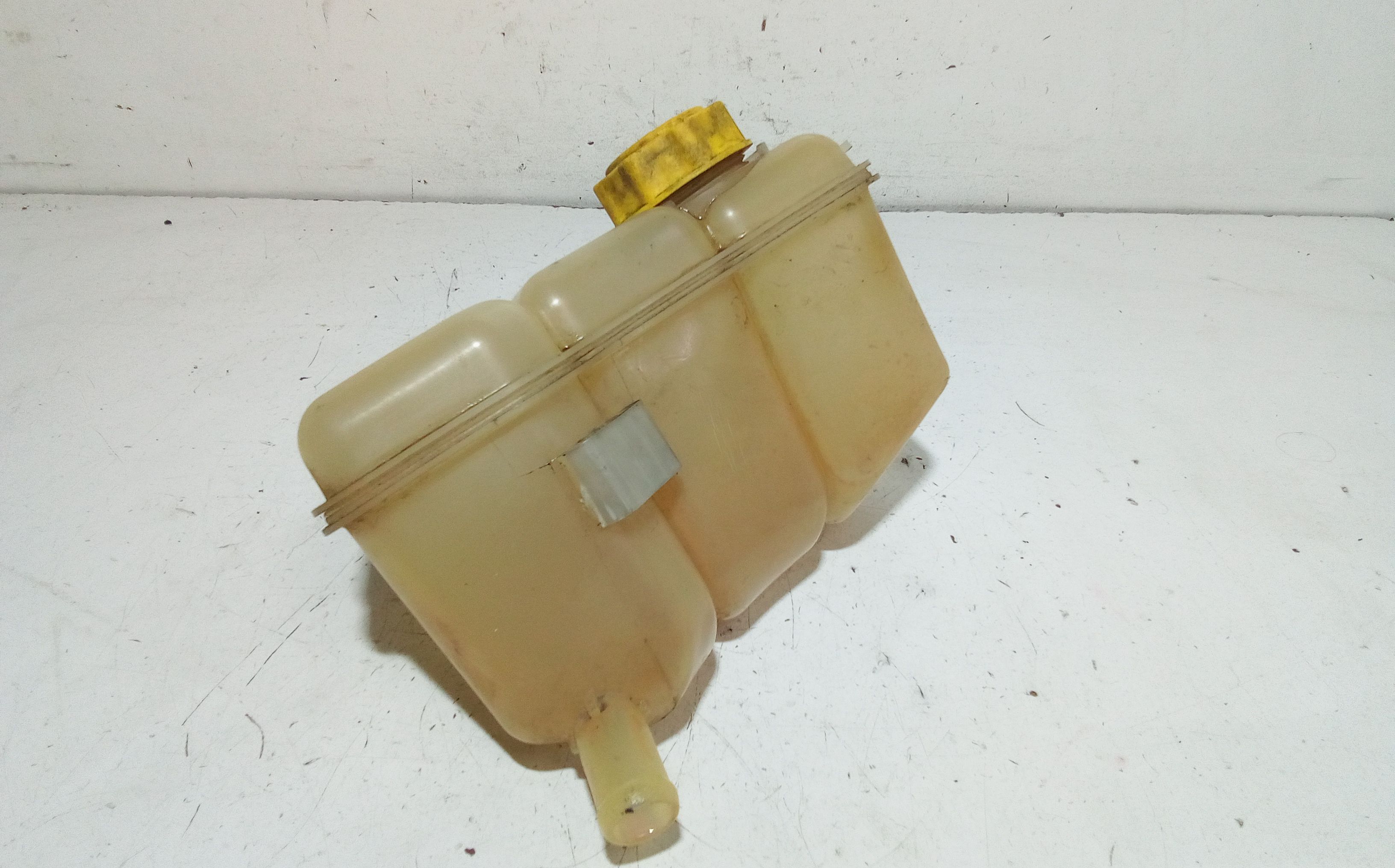 Vaschetta liquido radiatore FORD Fiesta 5 Serie