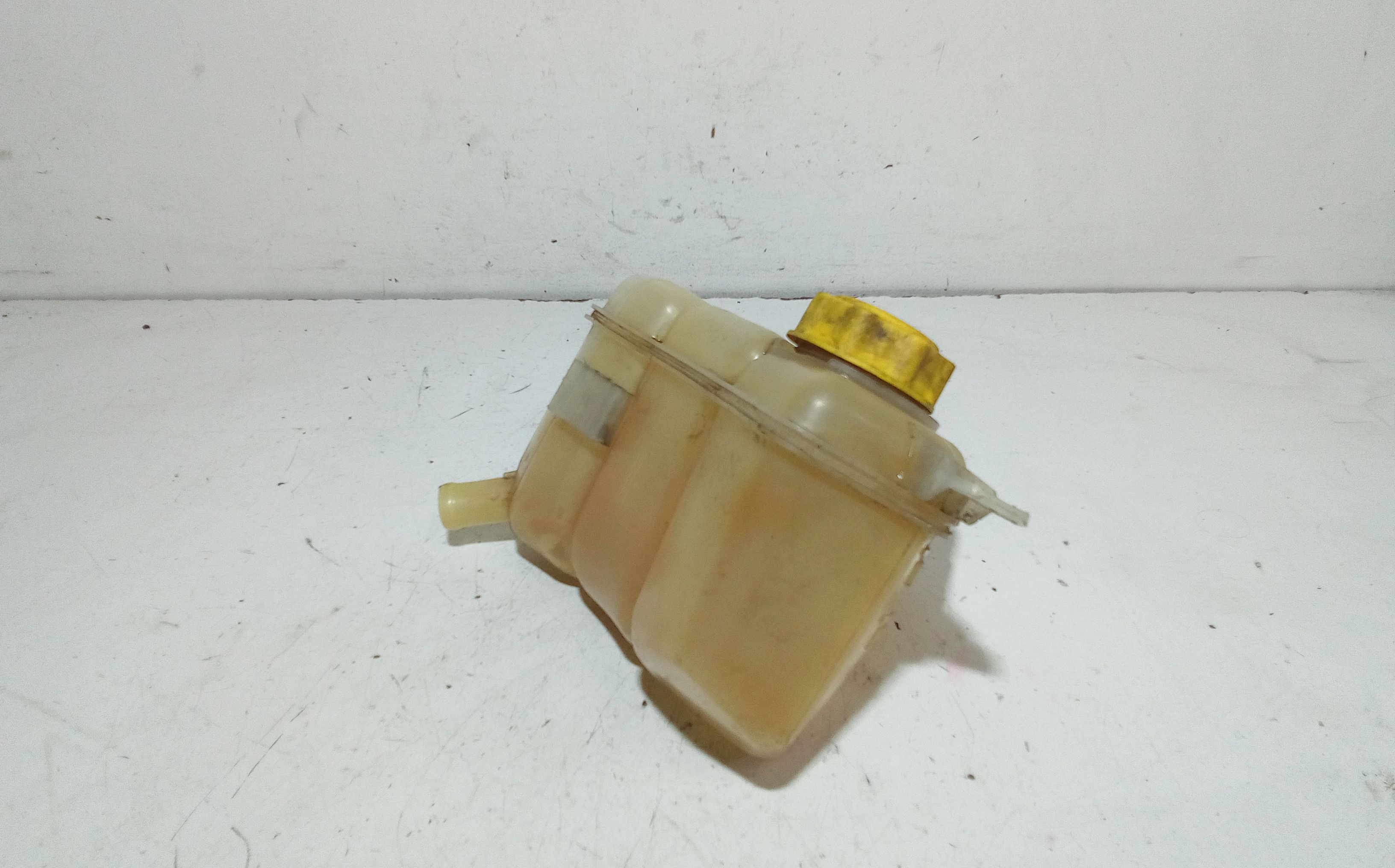 Vaschetta liquido radiatore FORD Fiesta 5 Serie