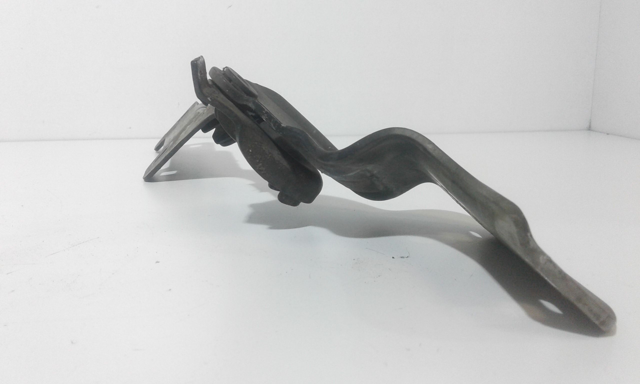 Cerniere cofano anteriore dx e sx RENAULT Clio Serie (04>08)