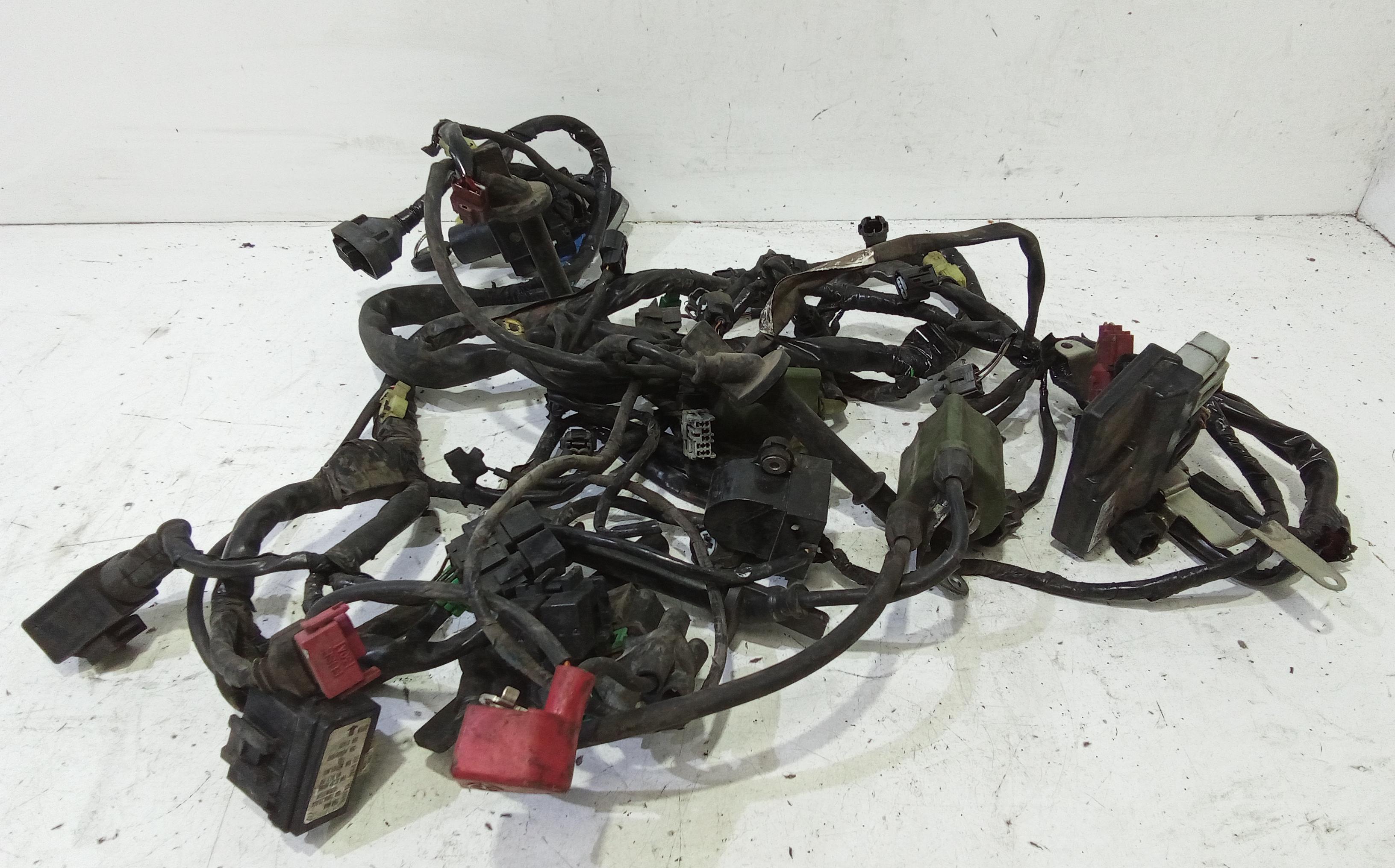 Impianto elettrico motore HONDA Hornet 600cc (05>06)