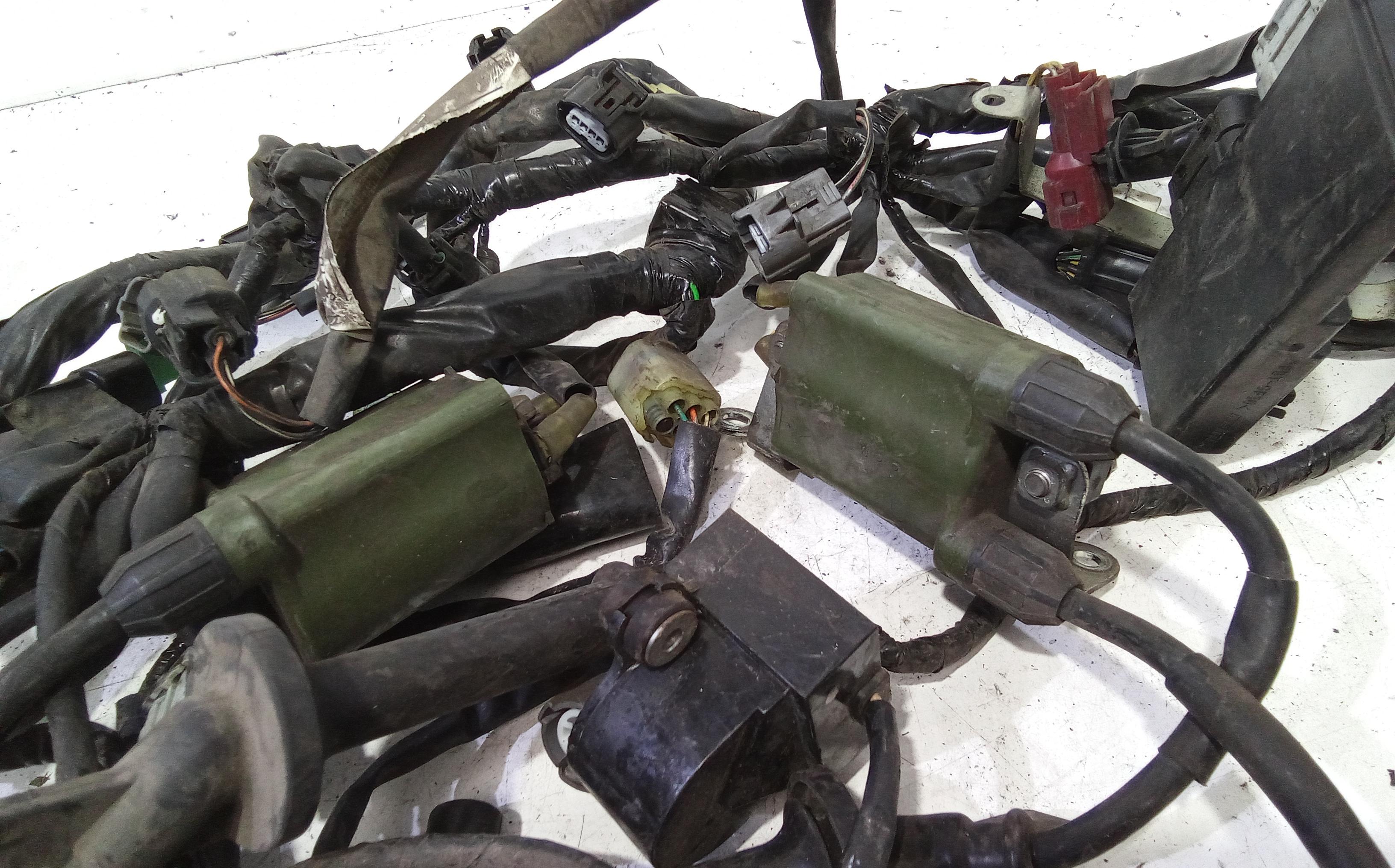 Impianto elettrico motore HONDA Hornet 600cc (05>06)