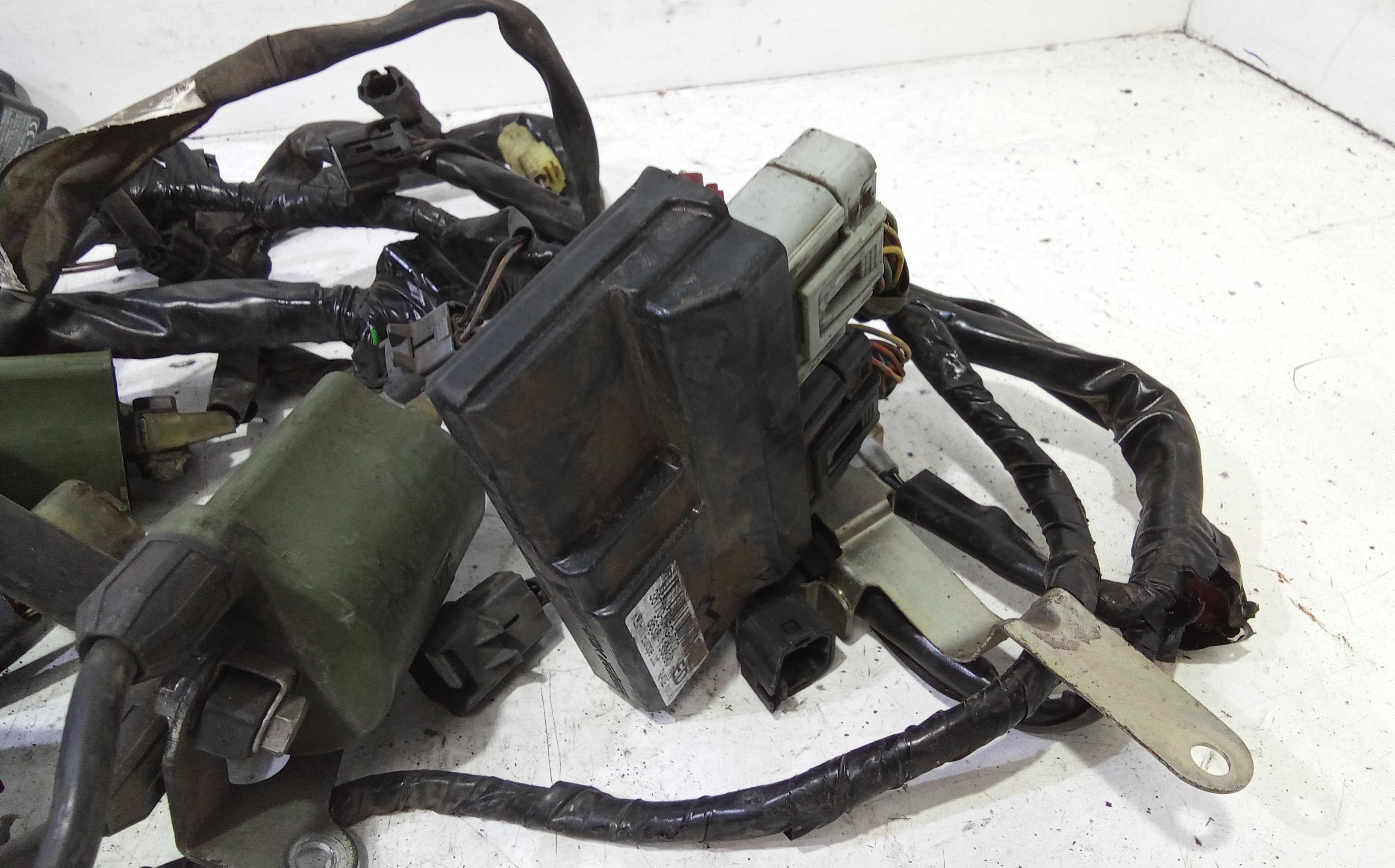 Impianto elettrico motore HONDA Hornet 600cc (05>06)