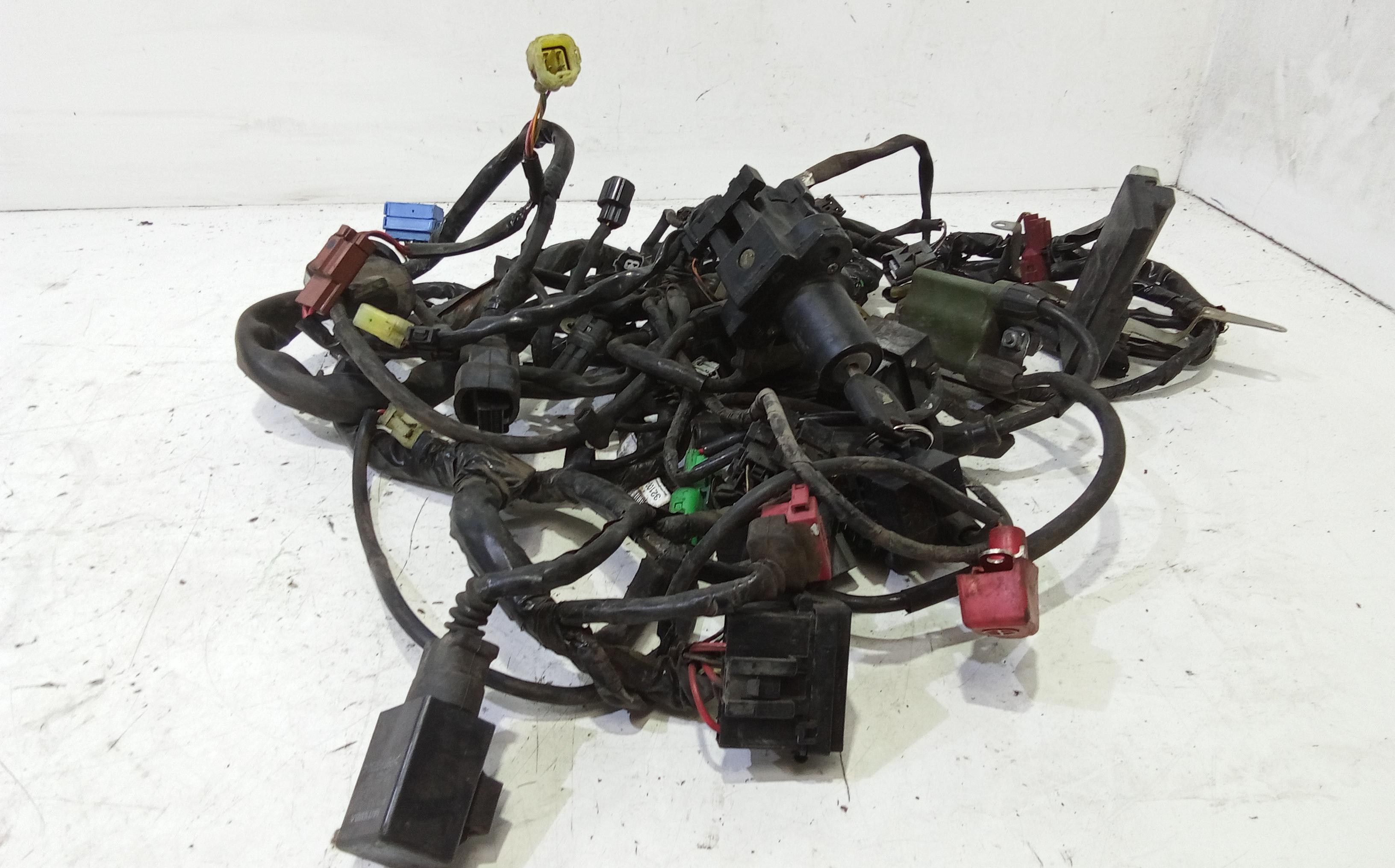 Impianto elettrico motore HONDA Hornet 600cc (05>06)