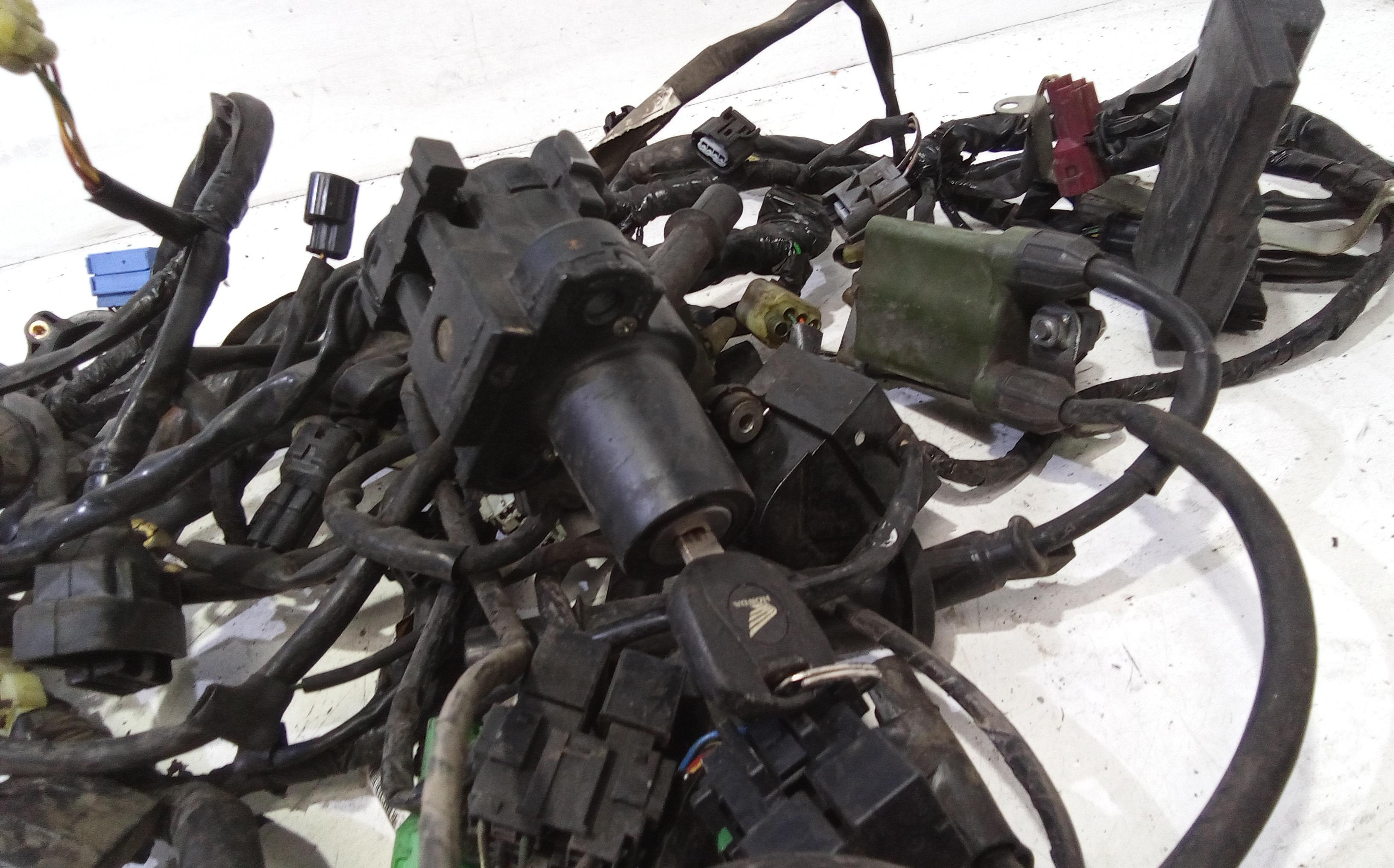 Impianto elettrico motore HONDA Hornet 600cc (05>06)