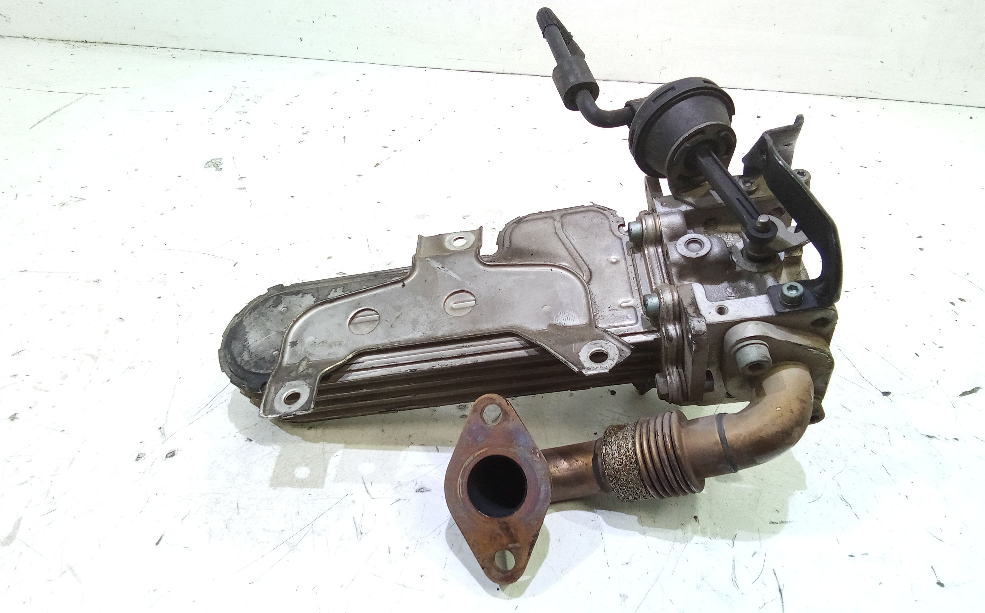 Scambiatore Egr VOLKSWAGEN New Beetle 1 Serie