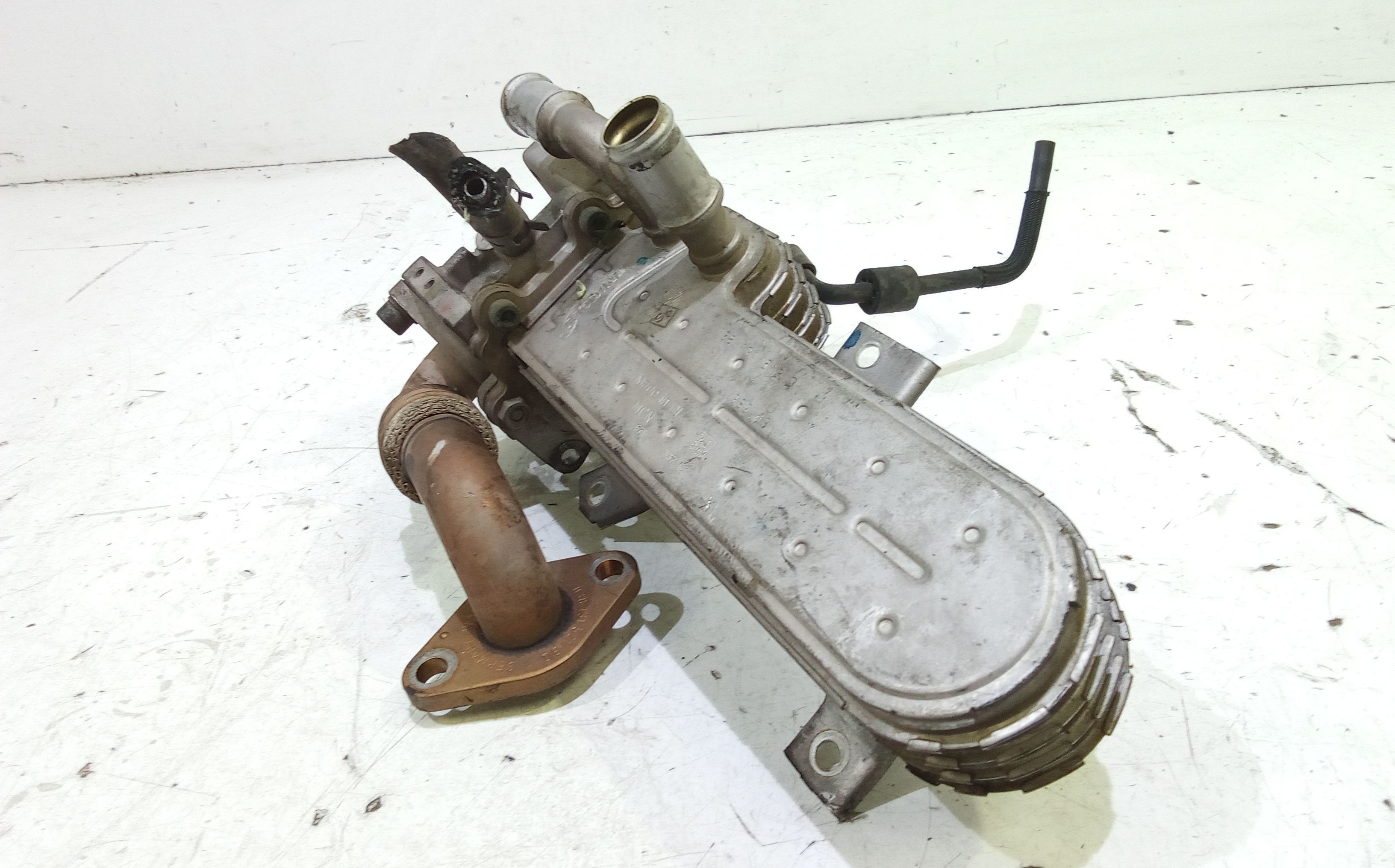 Scambiatore Egr VOLKSWAGEN New Beetle 1 Serie