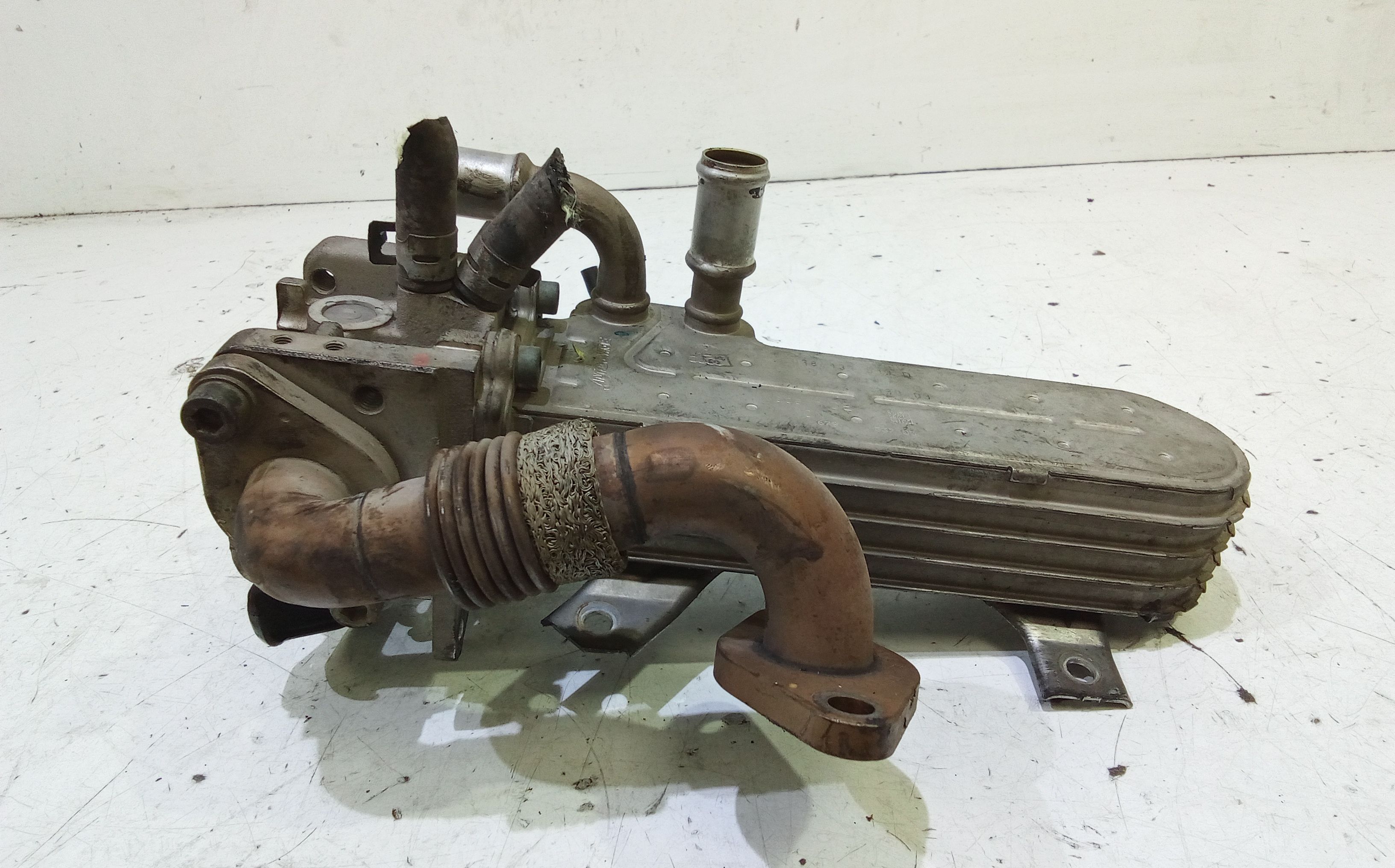 Scambiatore Egr VOLKSWAGEN New Beetle 1 Serie